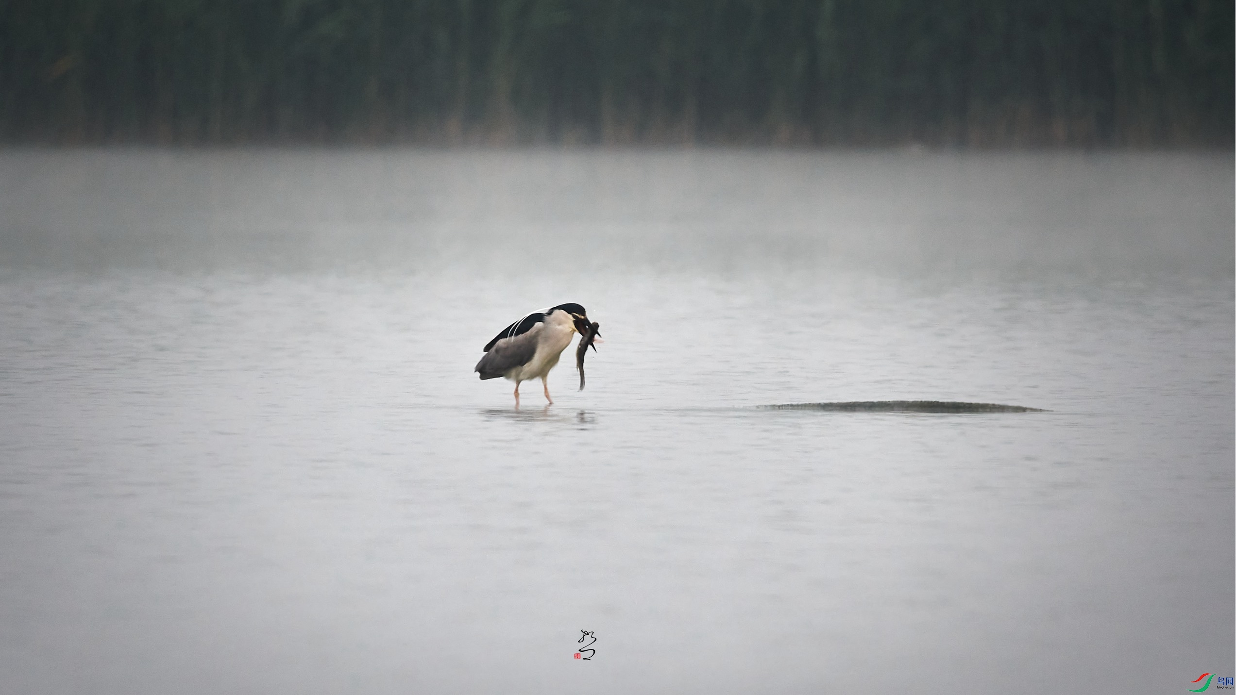 ����ʪ��2022-04-29DSC_4072_����.jpg