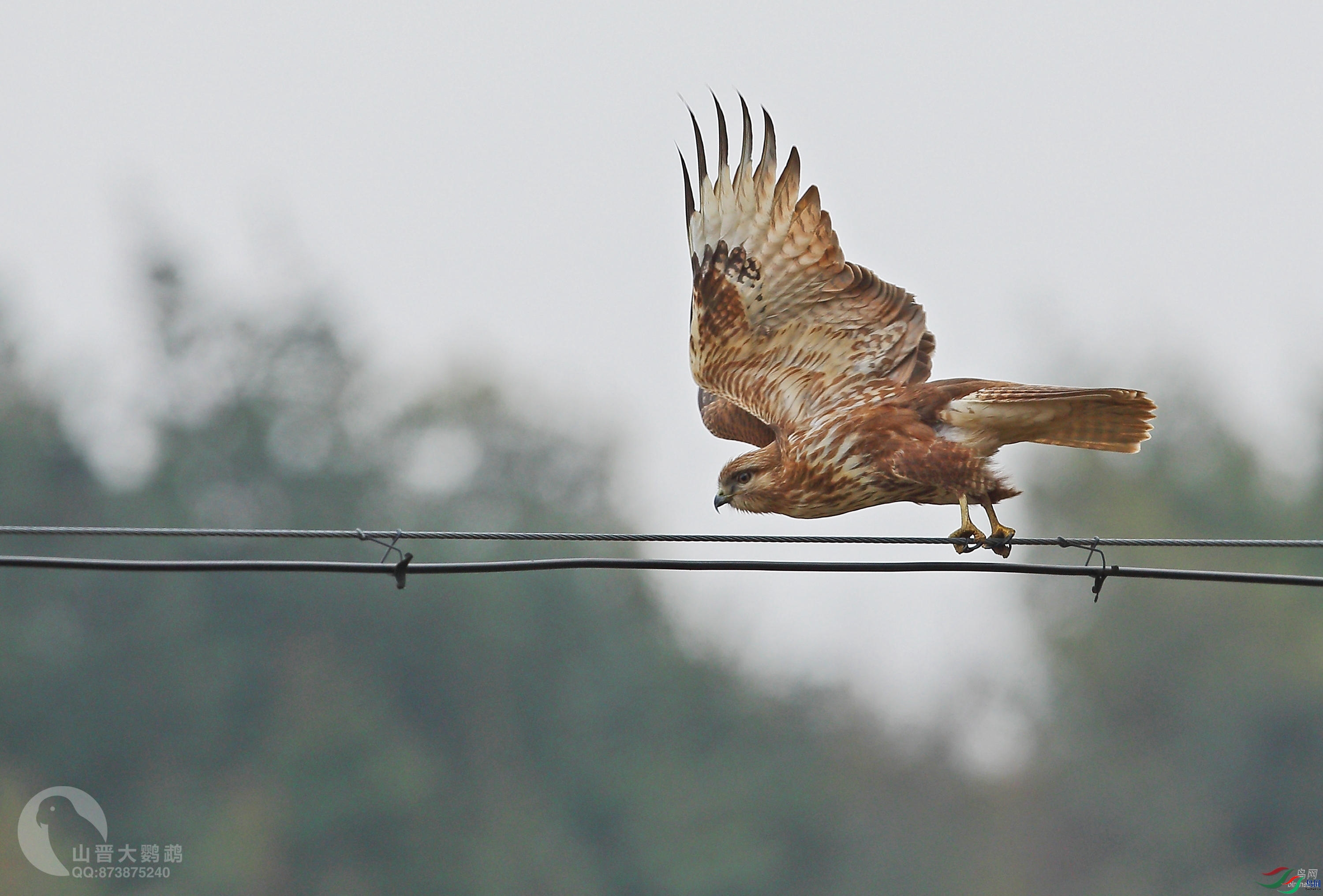 ɽ��������  ��ʦ����������ʡ��ɽ��1.jpg