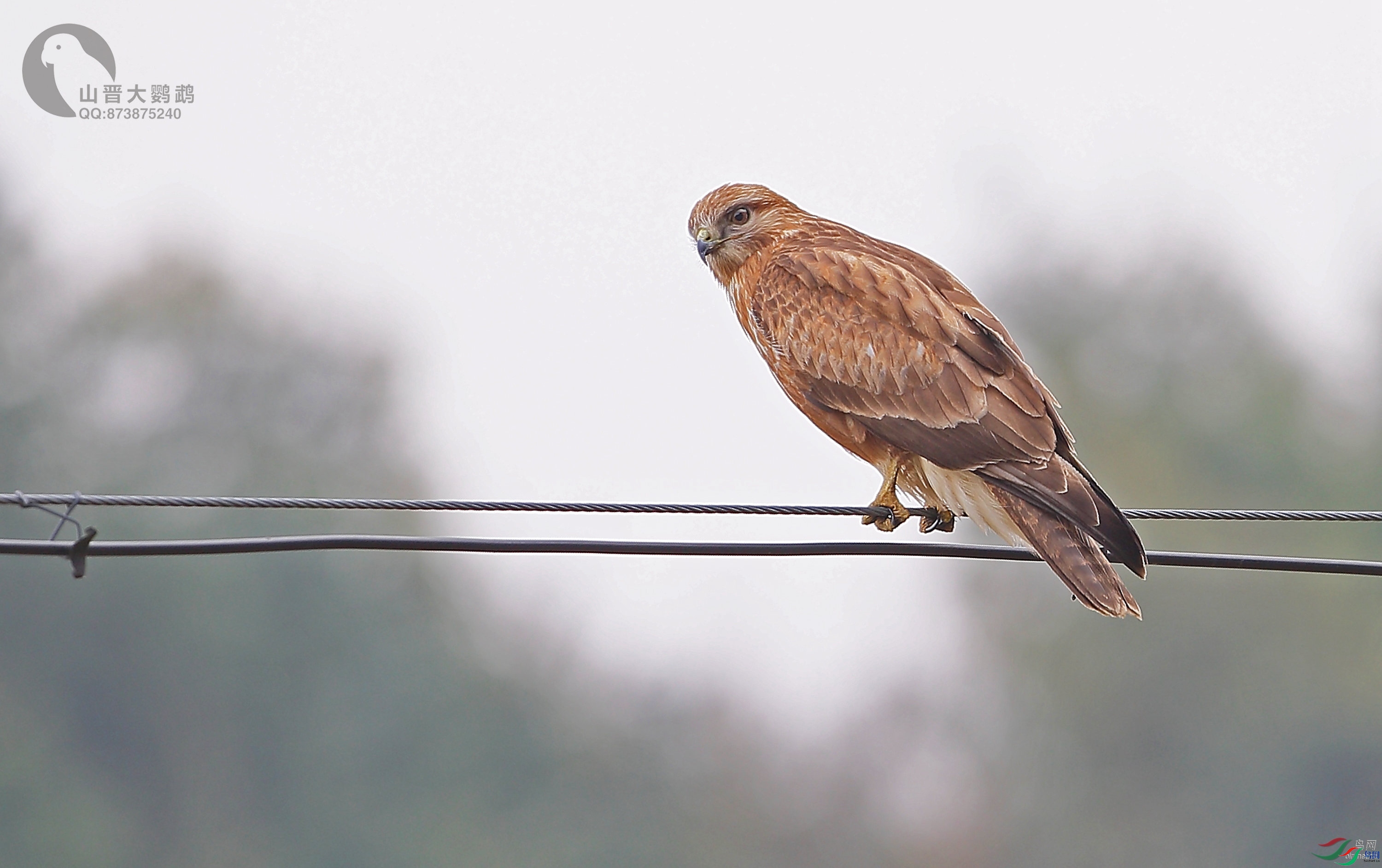 ɽ��������  ��ʦ����������ʡ��ɽ��.jpg