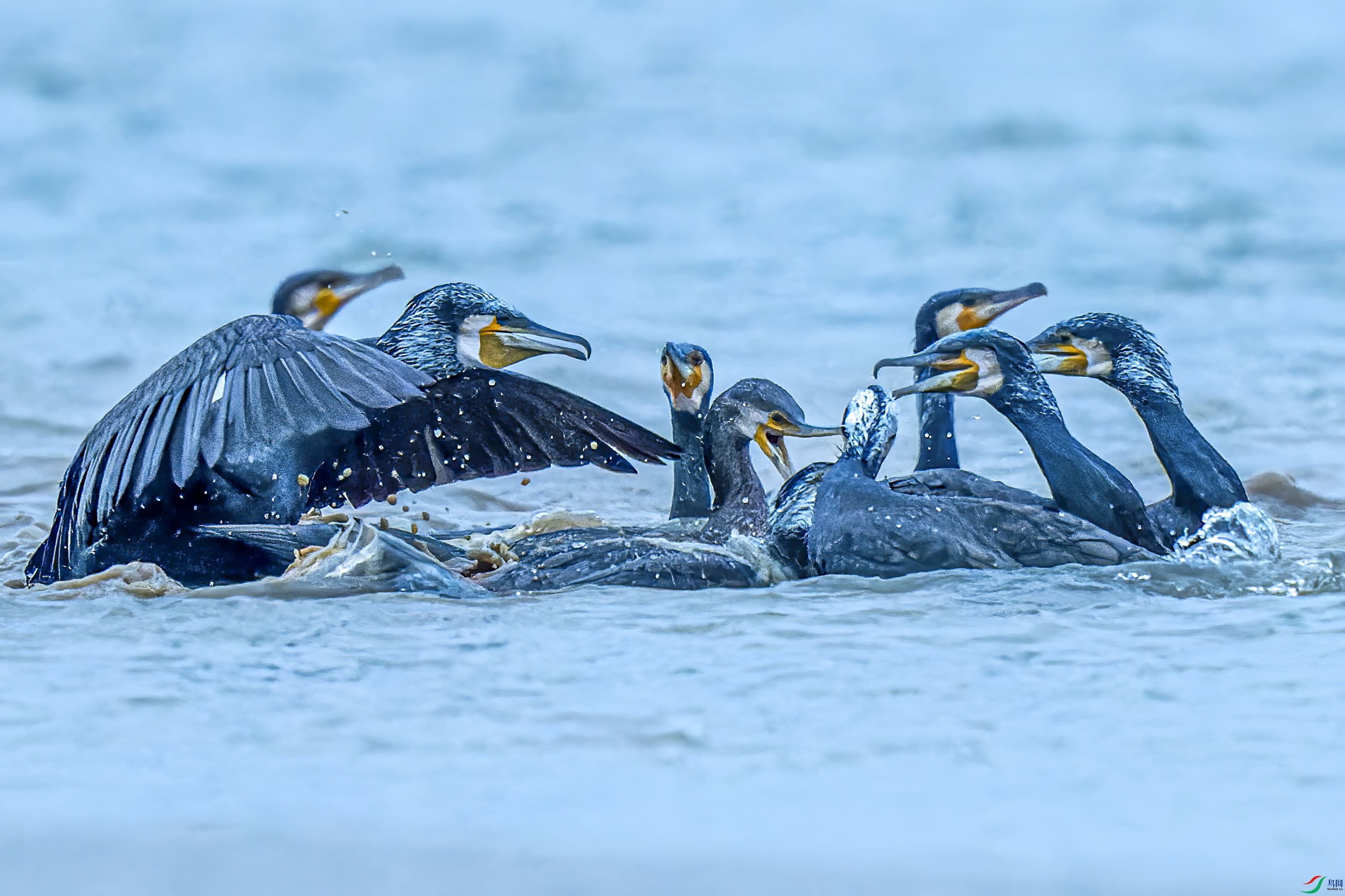 DSC_1765.jpg