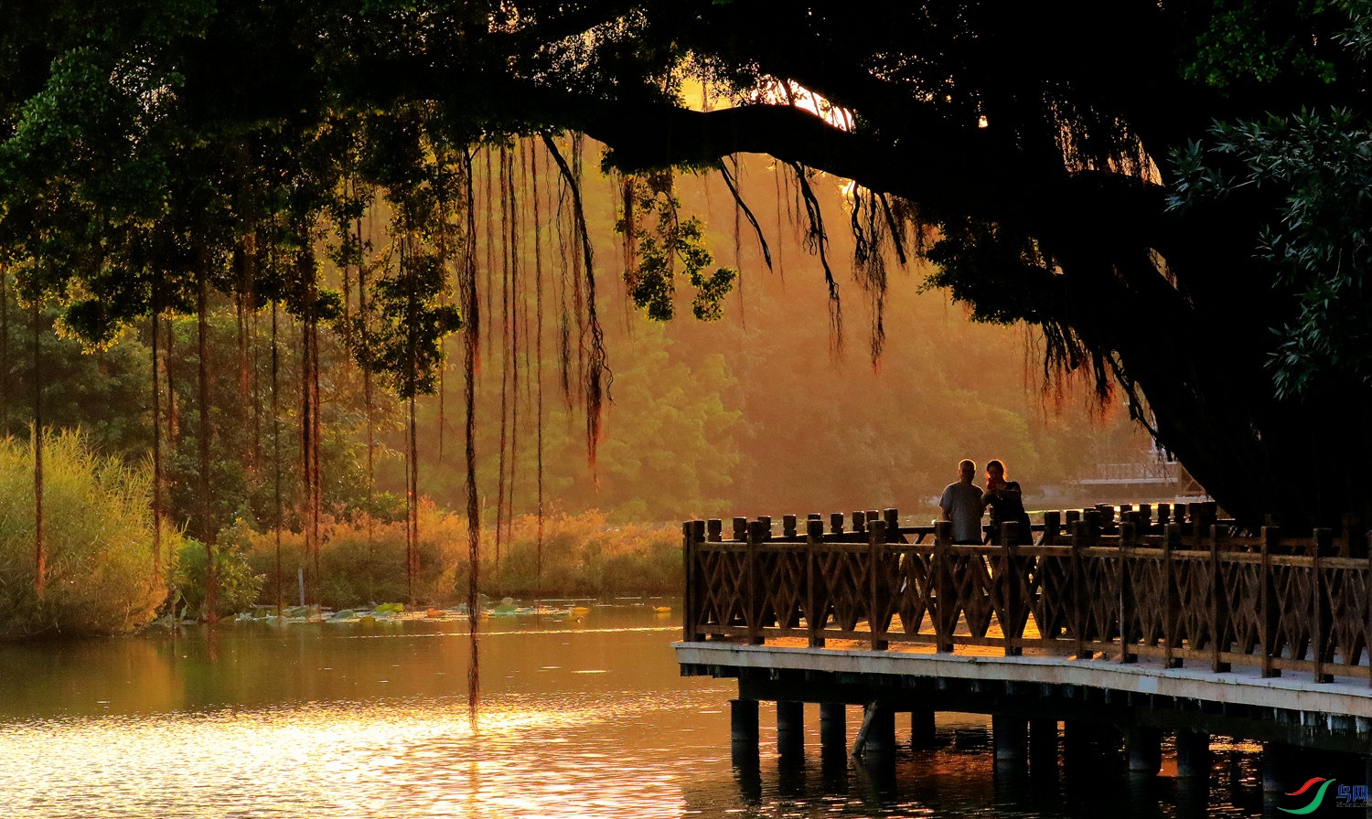 ����Ϧ����