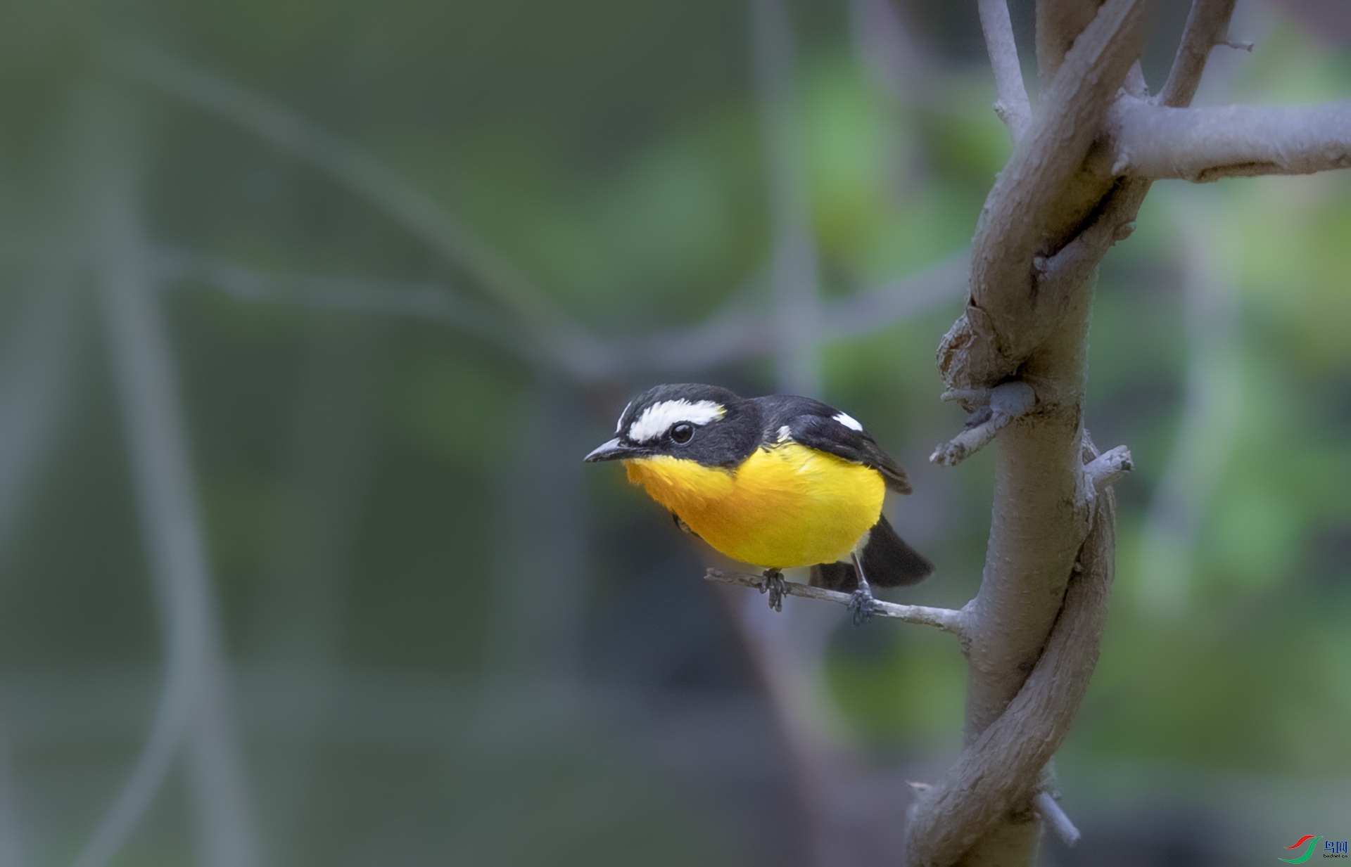 _K8I4731   ��ü���l02.jpg