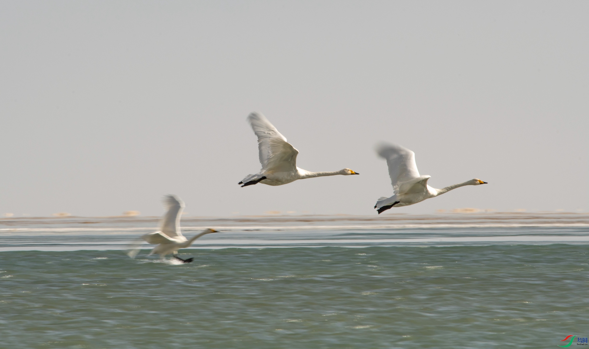 DSC_7876_����.jpg