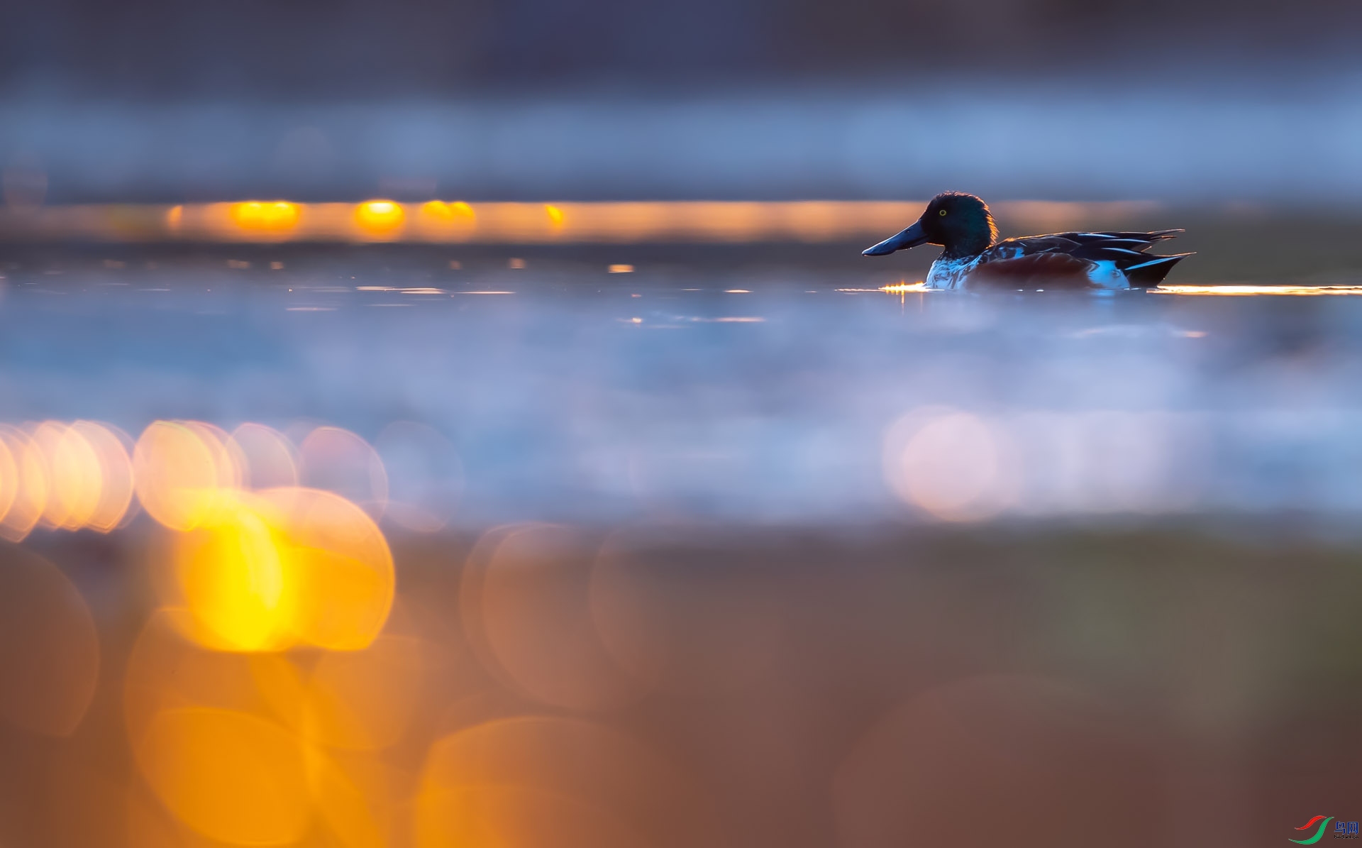 DSC_6439-3 ����.jpg