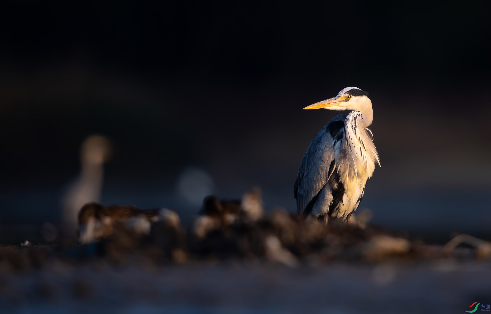 DSC_51781 ����.jpg