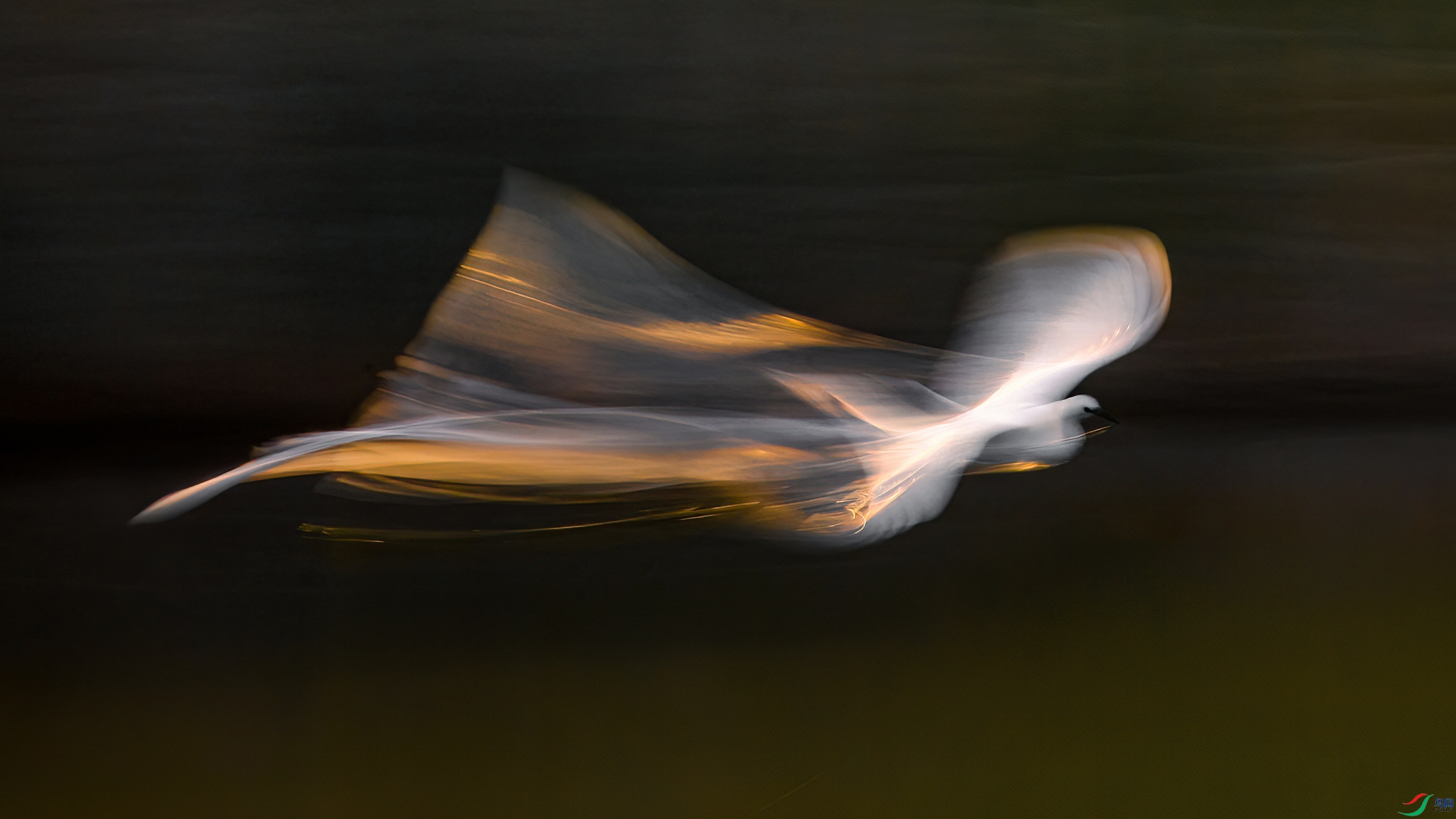 8P5A4229d-����-DeNoiseAI-low-light-����.jpg