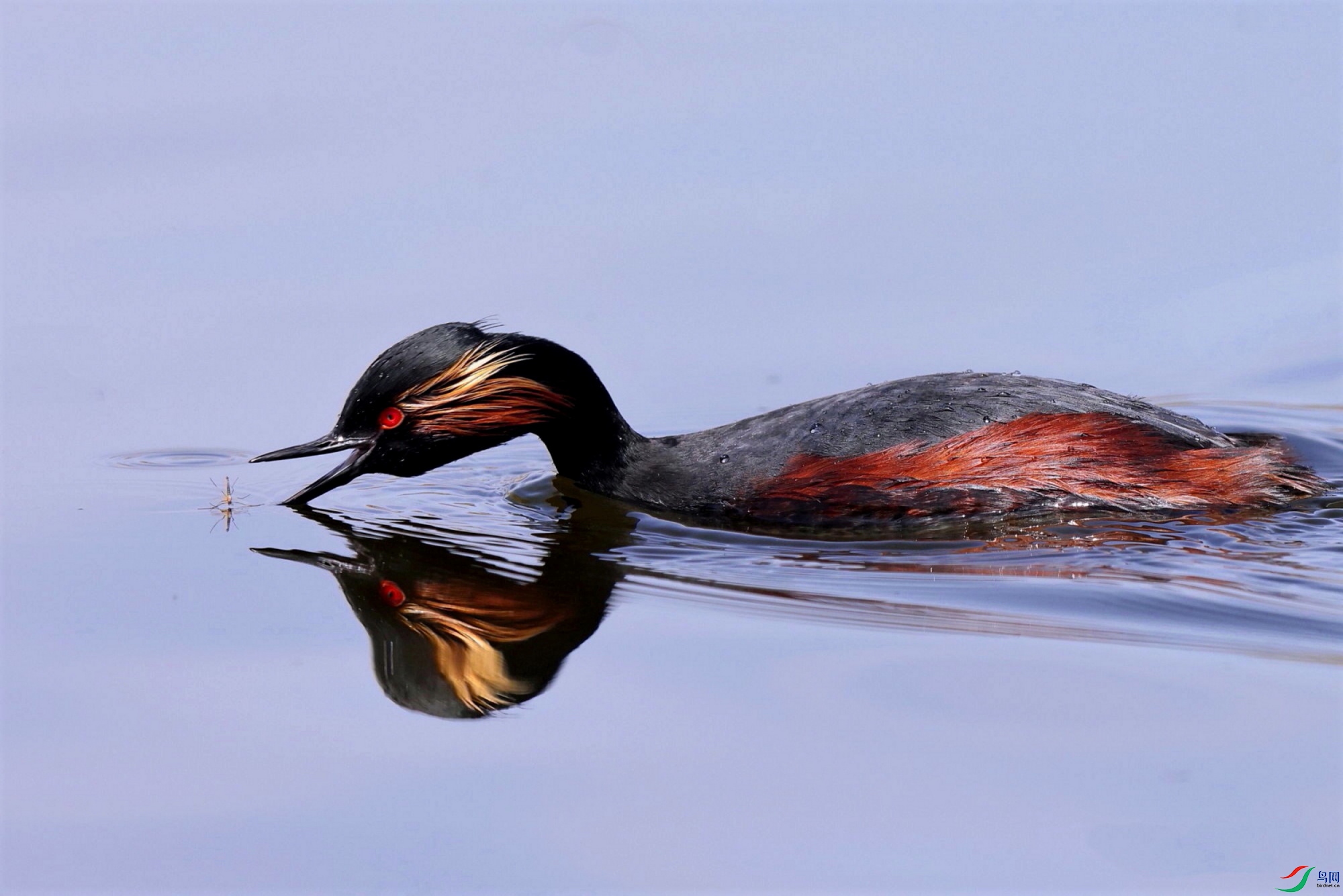 20220512101021 - .jpg