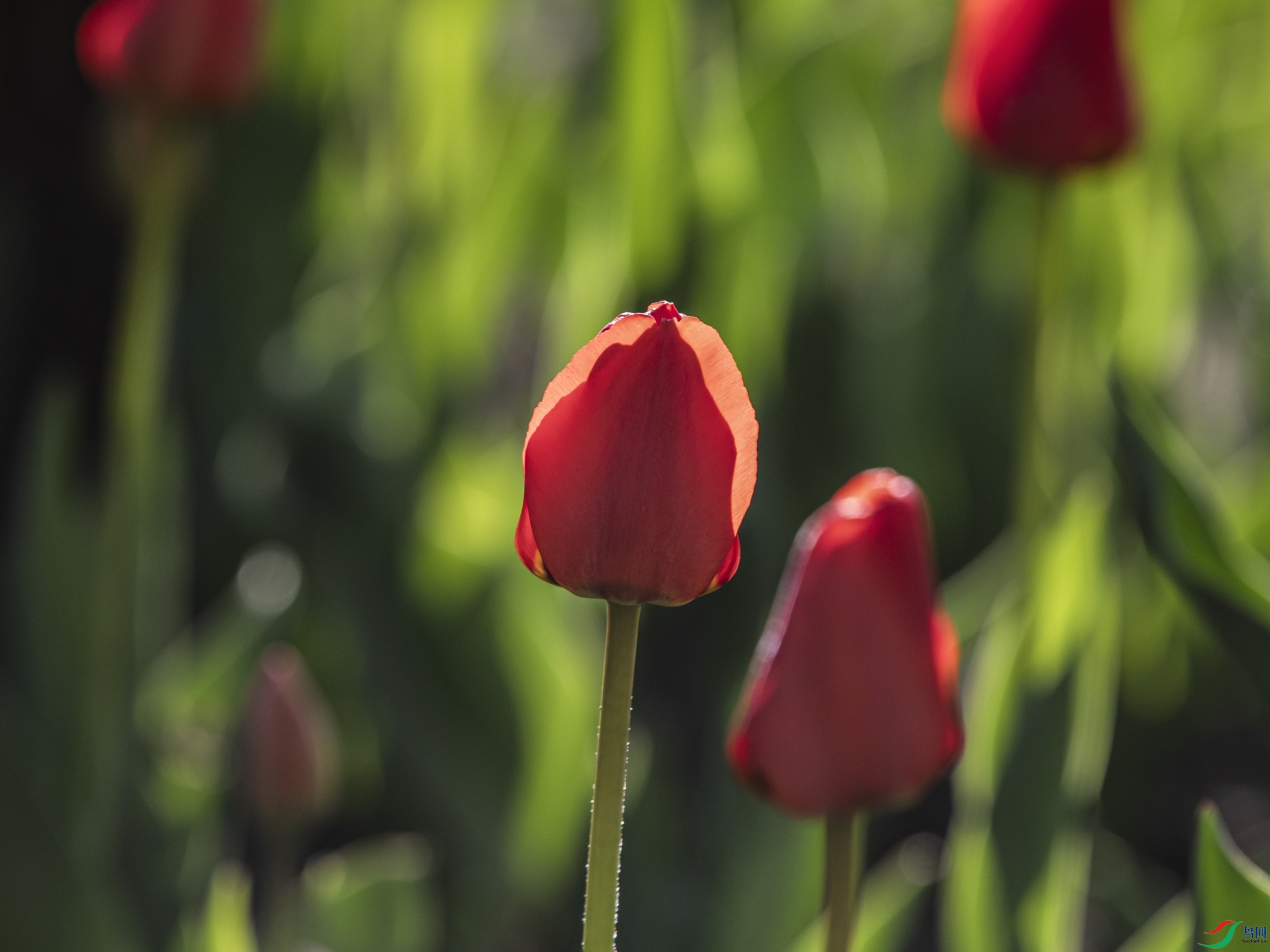 023 ����1.jpg