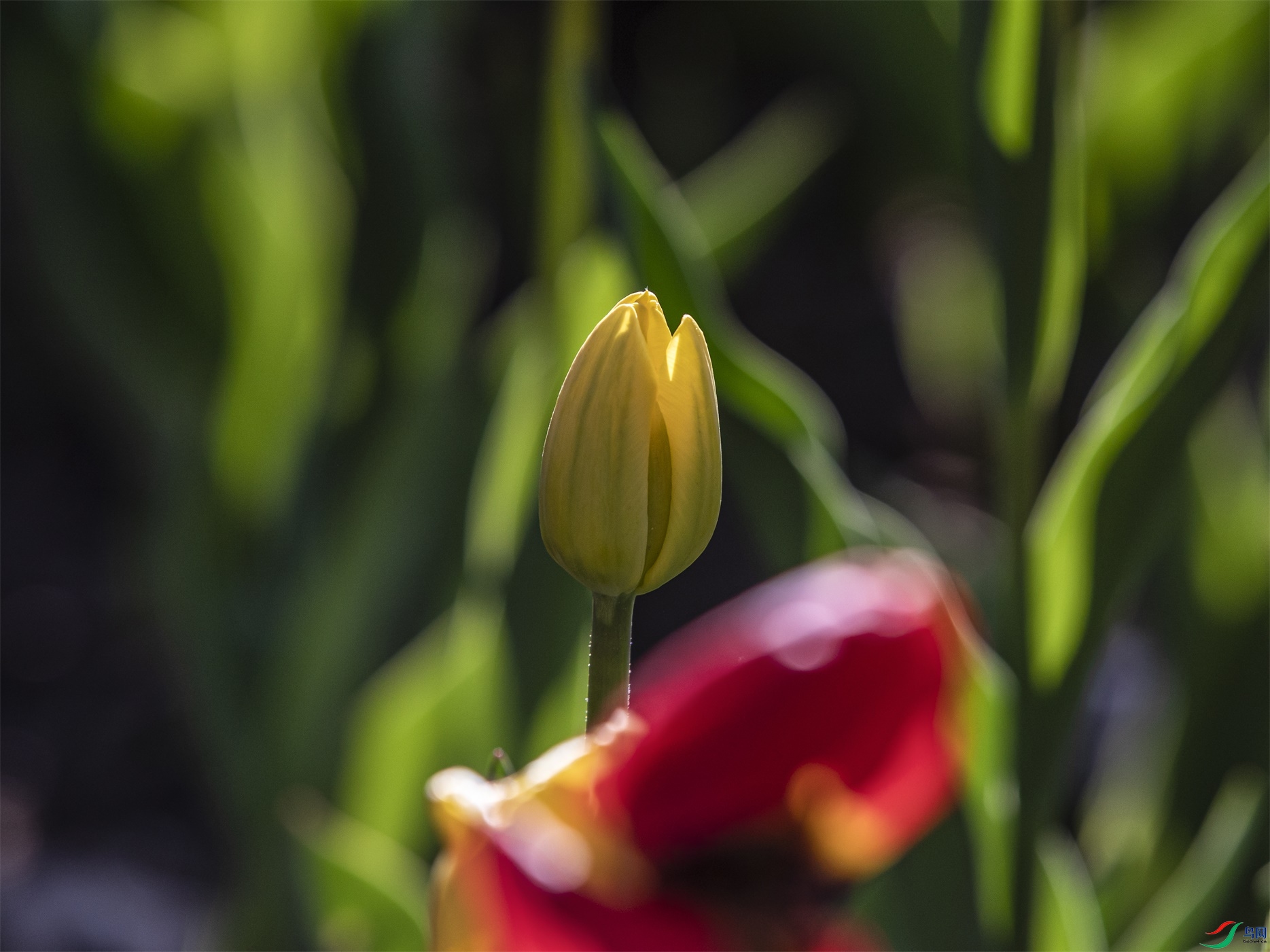 022 ����1.jpg