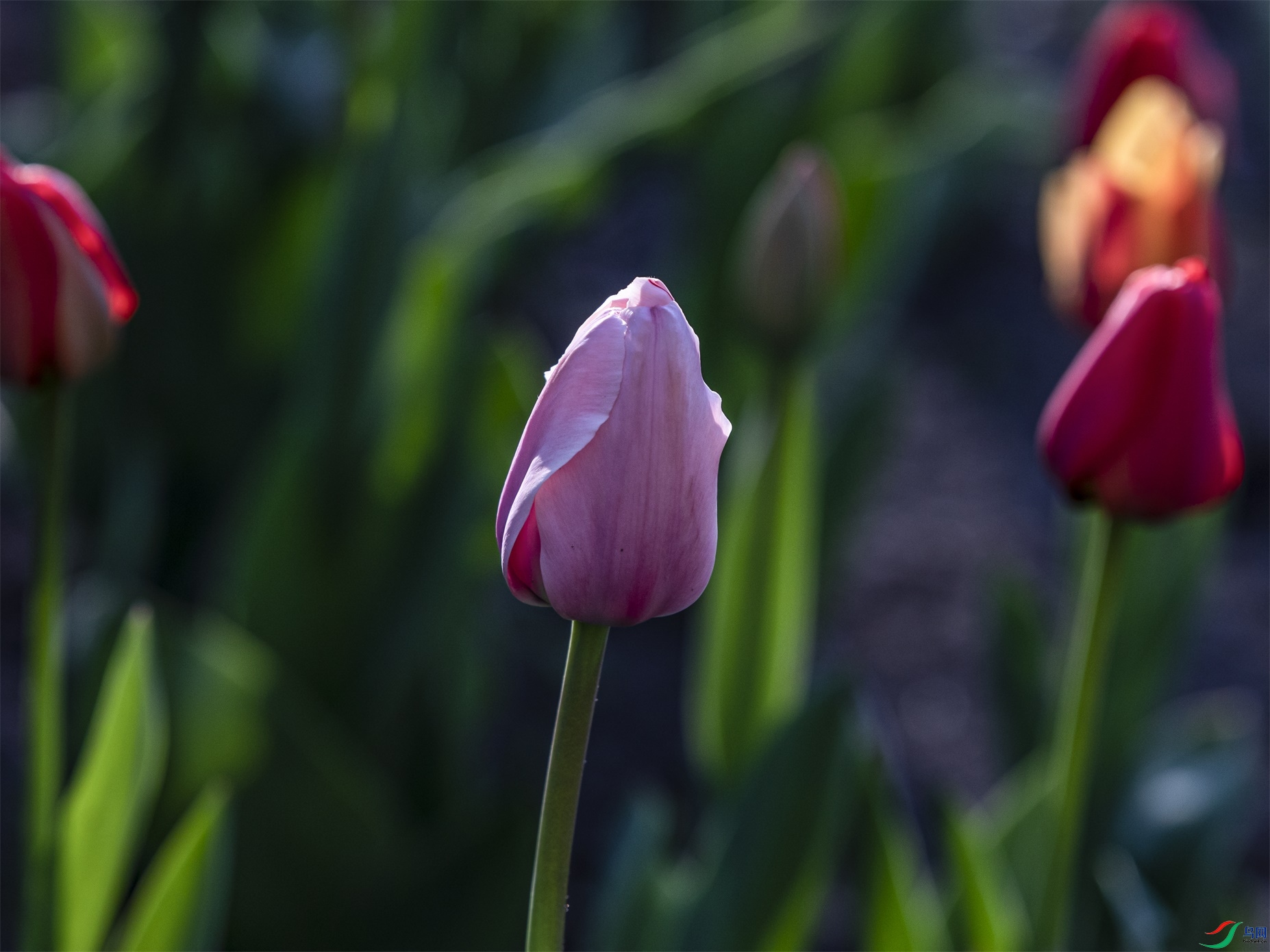 006 ����1.jpg