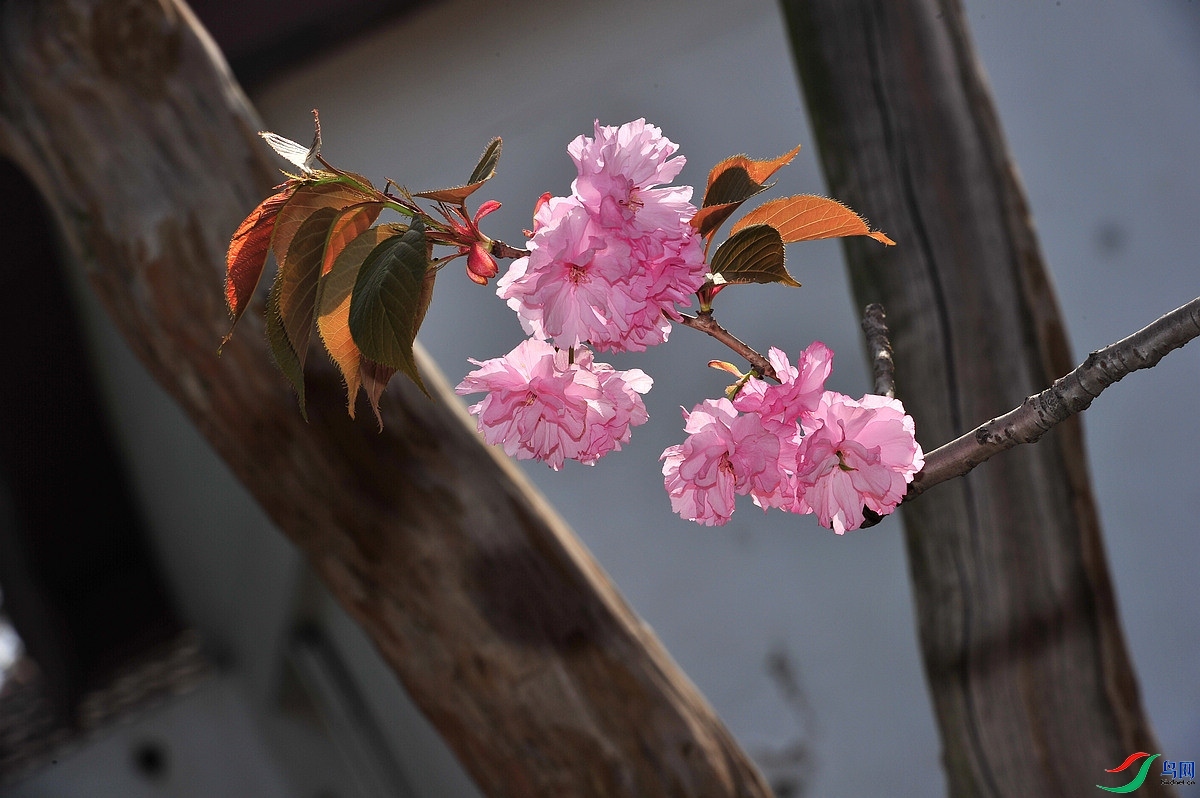 031610yw3z2j22ltrppwkk (1).jpg