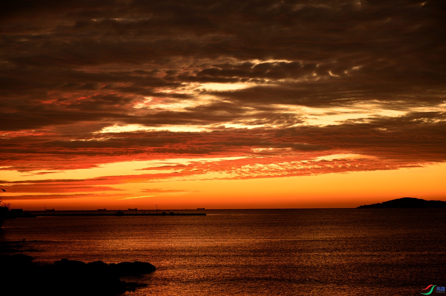 031842z0f703c0s396pg9f (1).jpg