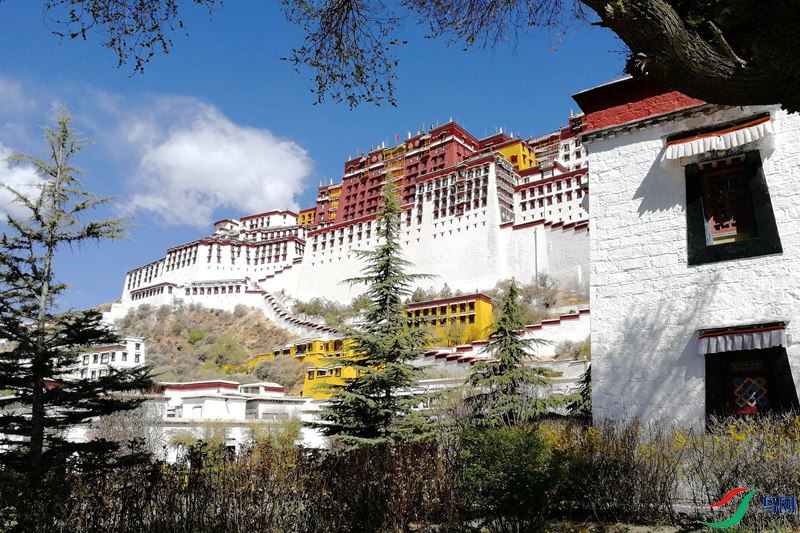 ����������ɫ (1).jpg