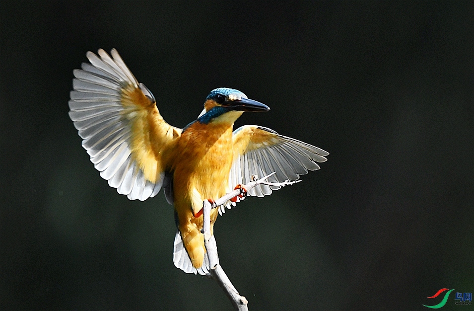 DSC_9717.JPG