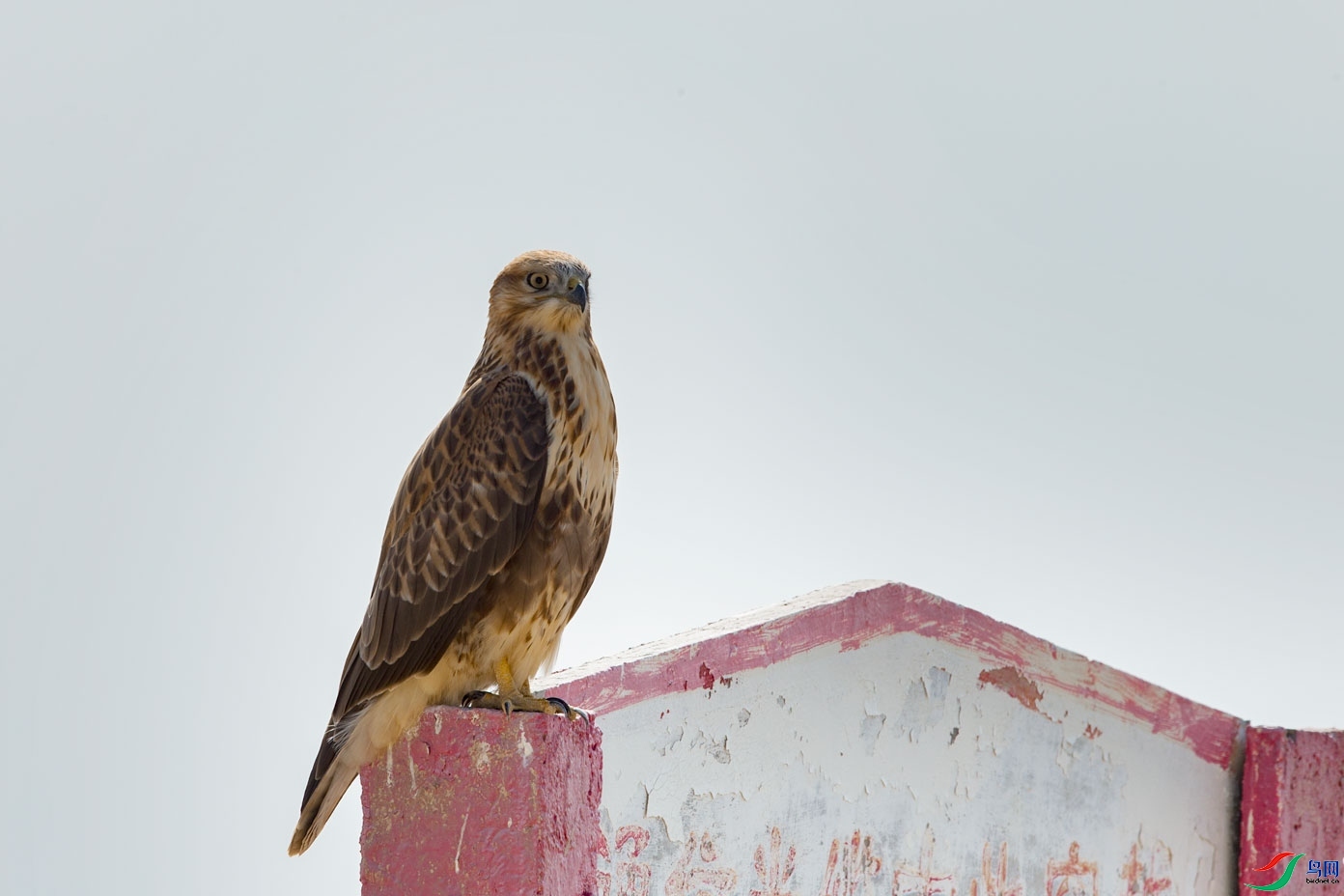 ������  ��ʦ��������.��.ά.��.��.���������ǵ���.jpg