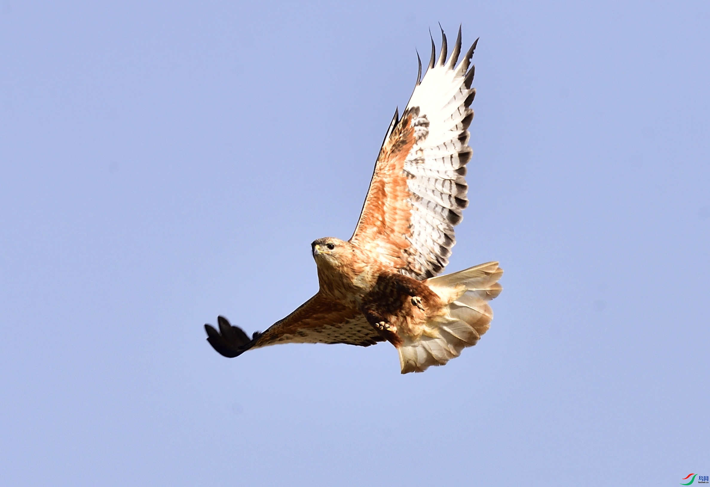 ��Ҳ����  ��ʦ��������.��.ά.��.��.�������������.jpg