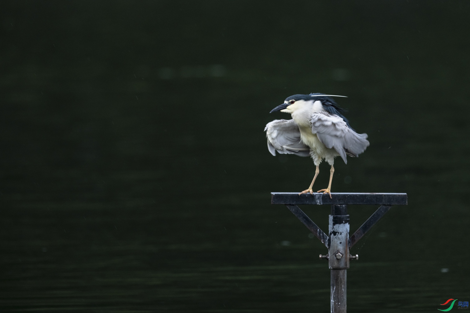 DSC_1480.jpg
