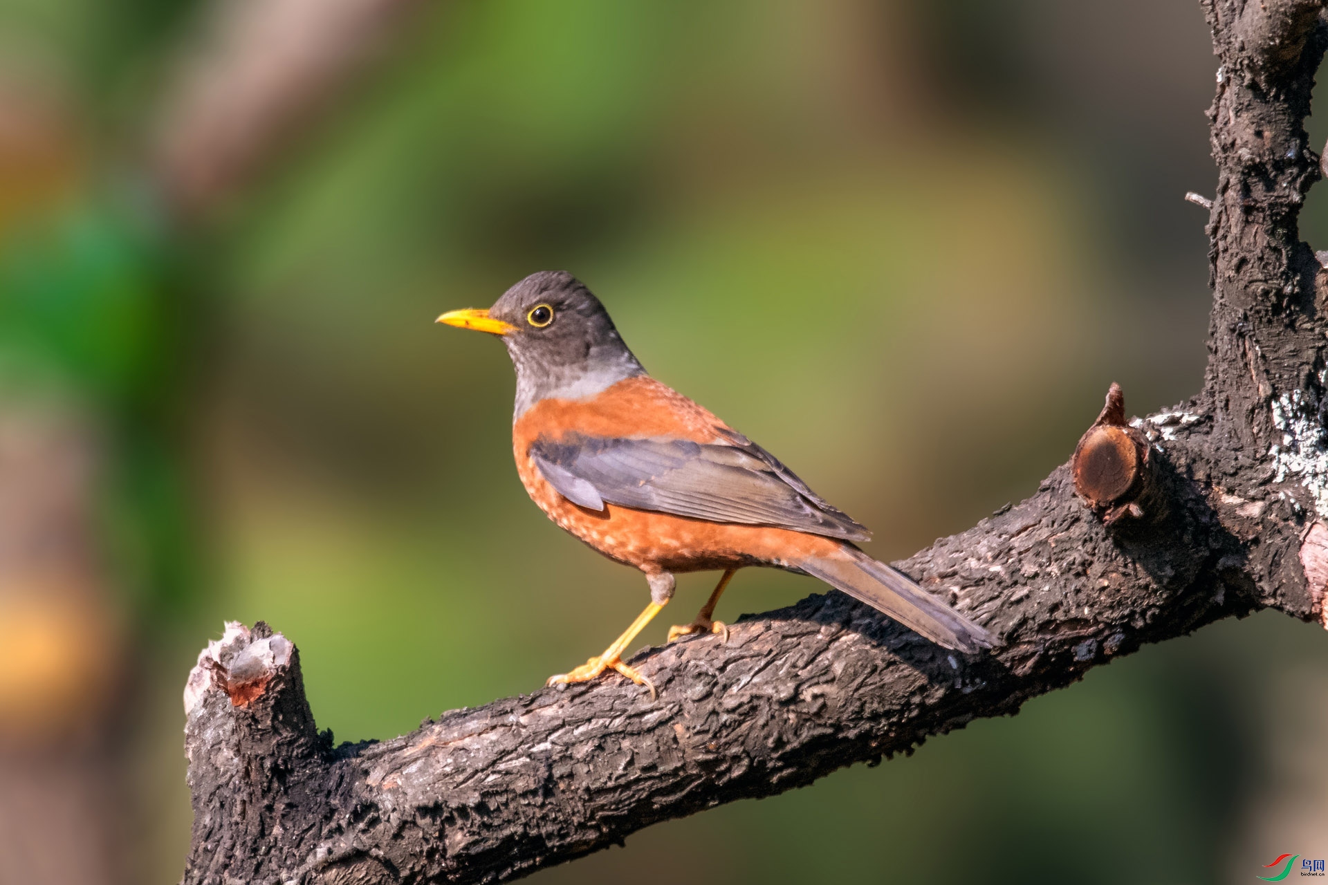 ��_AUU4435����ͷ�(22.2.13)-1.jpg