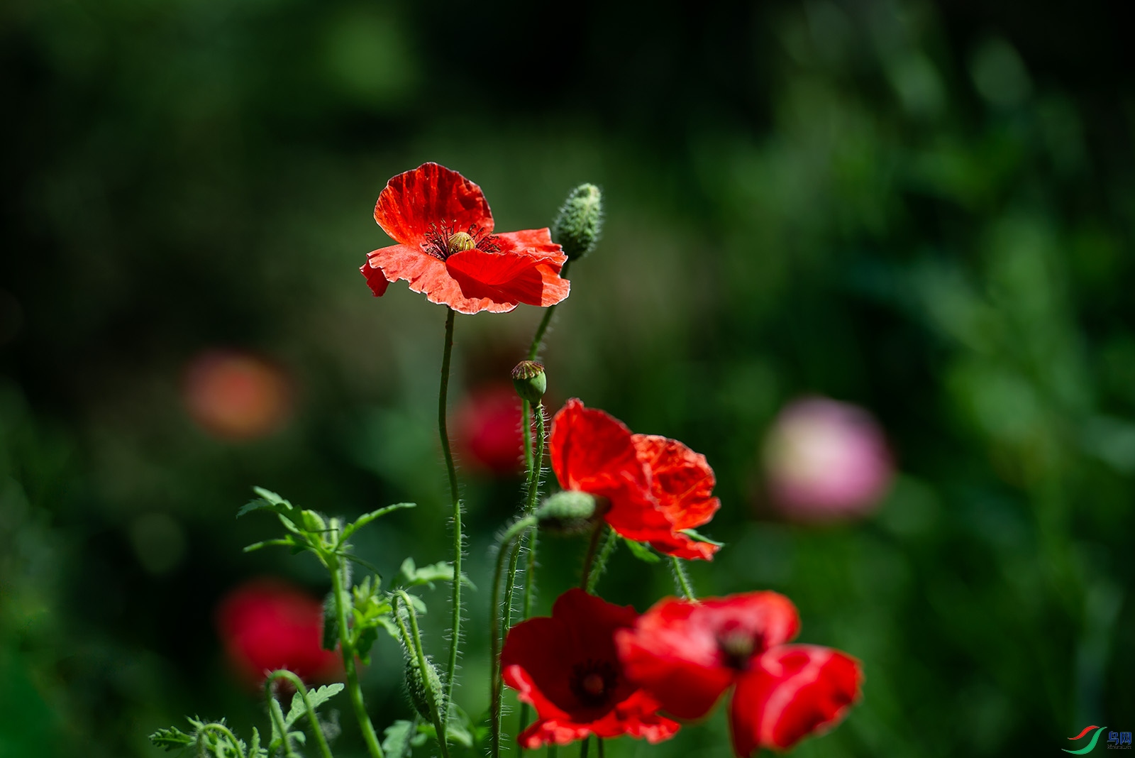 DSC_1060-20220513�ü� .jpg