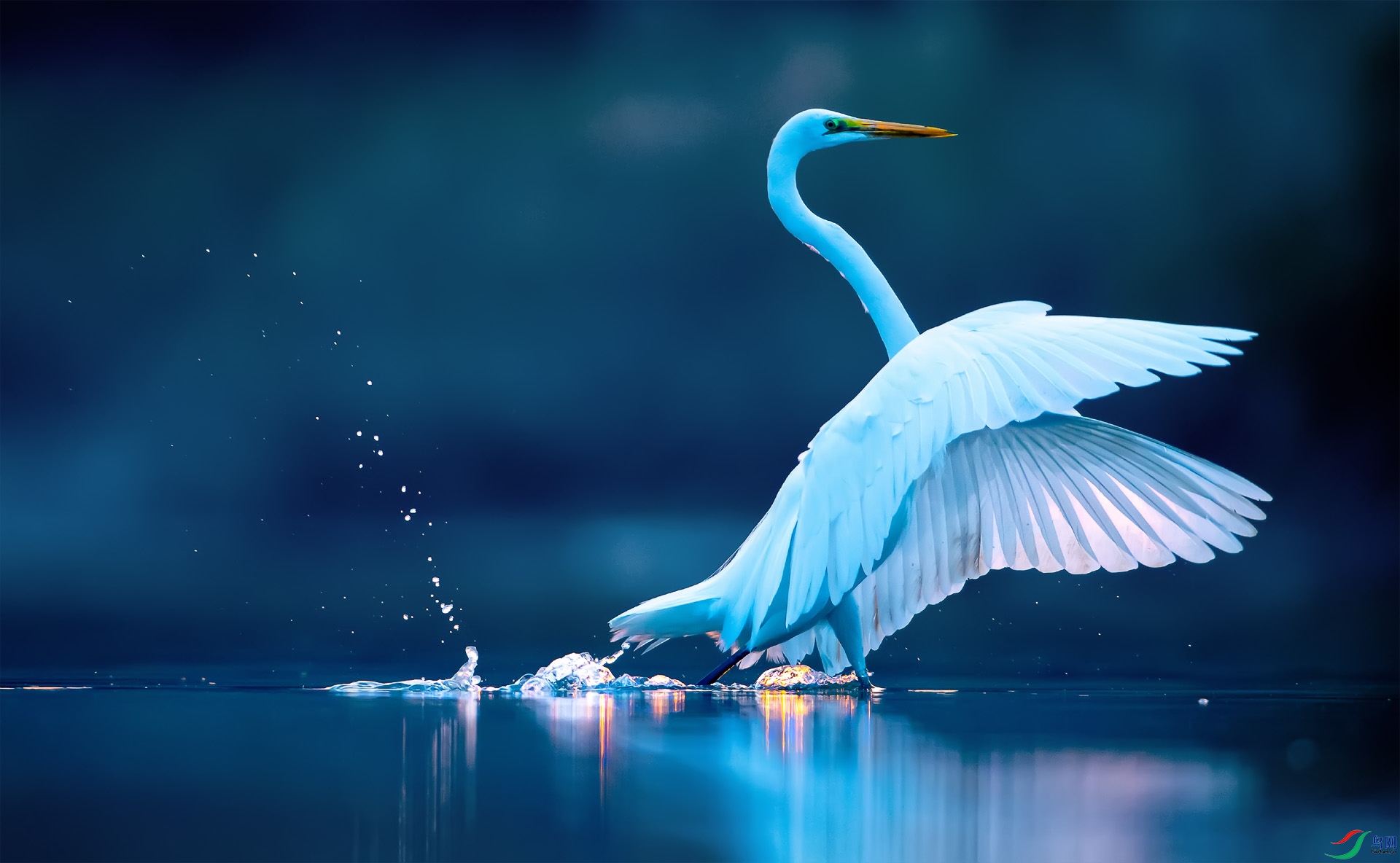 DSC_02231 ����.jpg