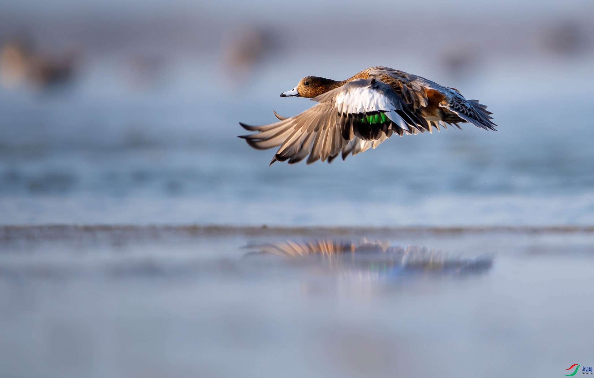 ZXC_9244-5 ����.jpg