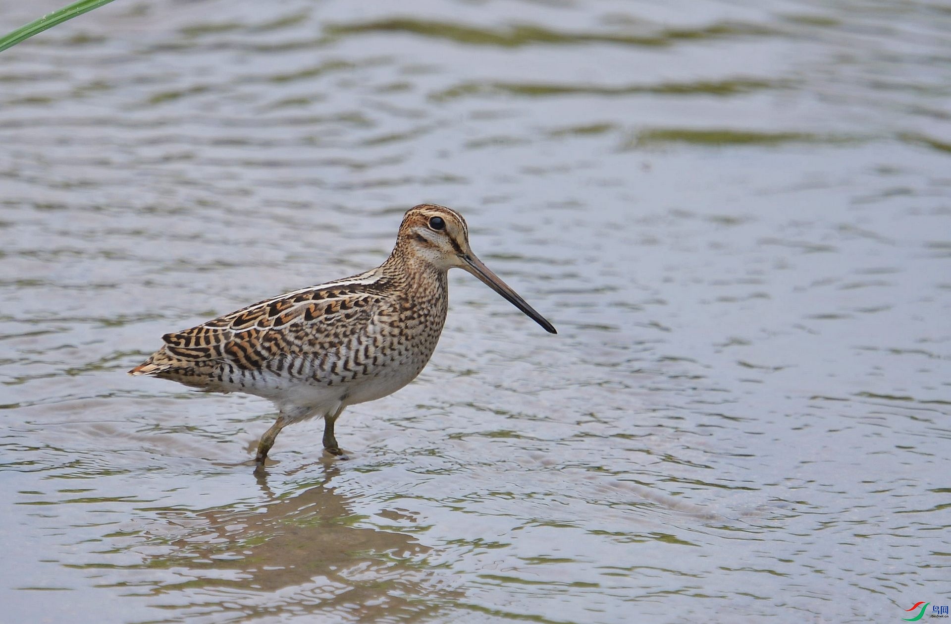 1DS_6106.jpg