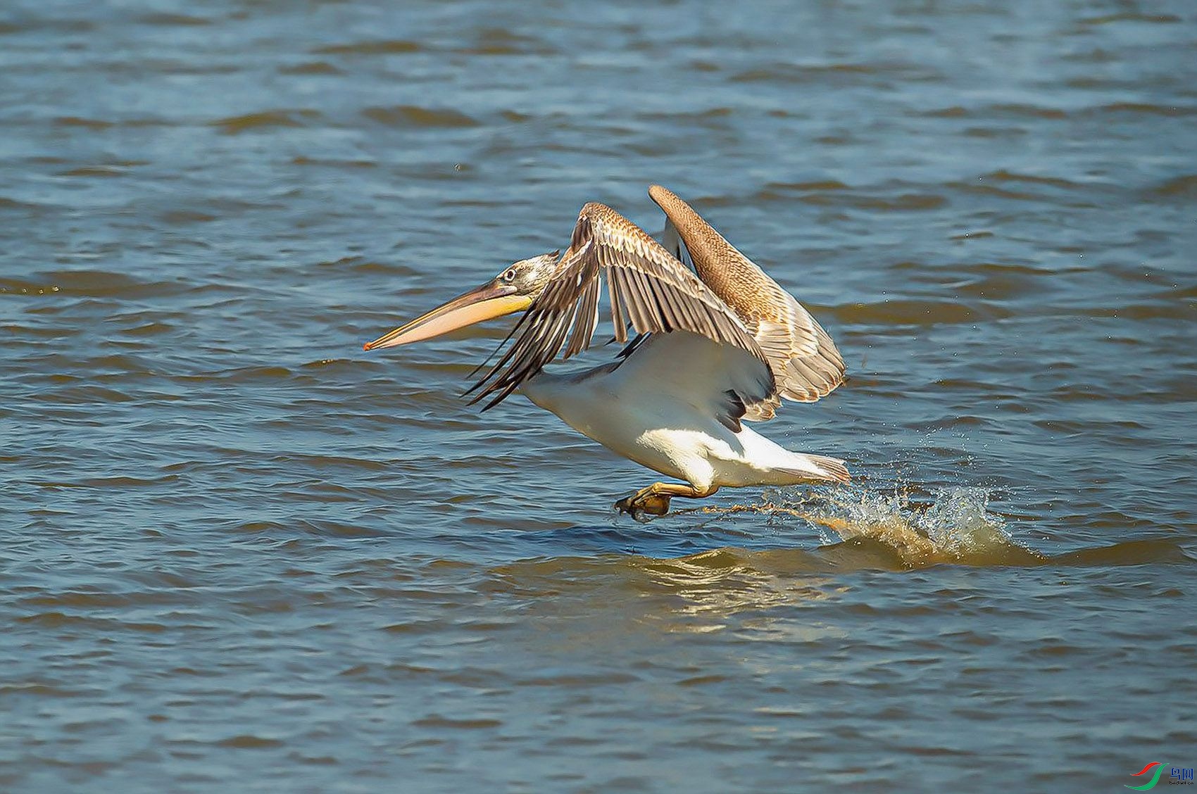 DSC_6882.jpg