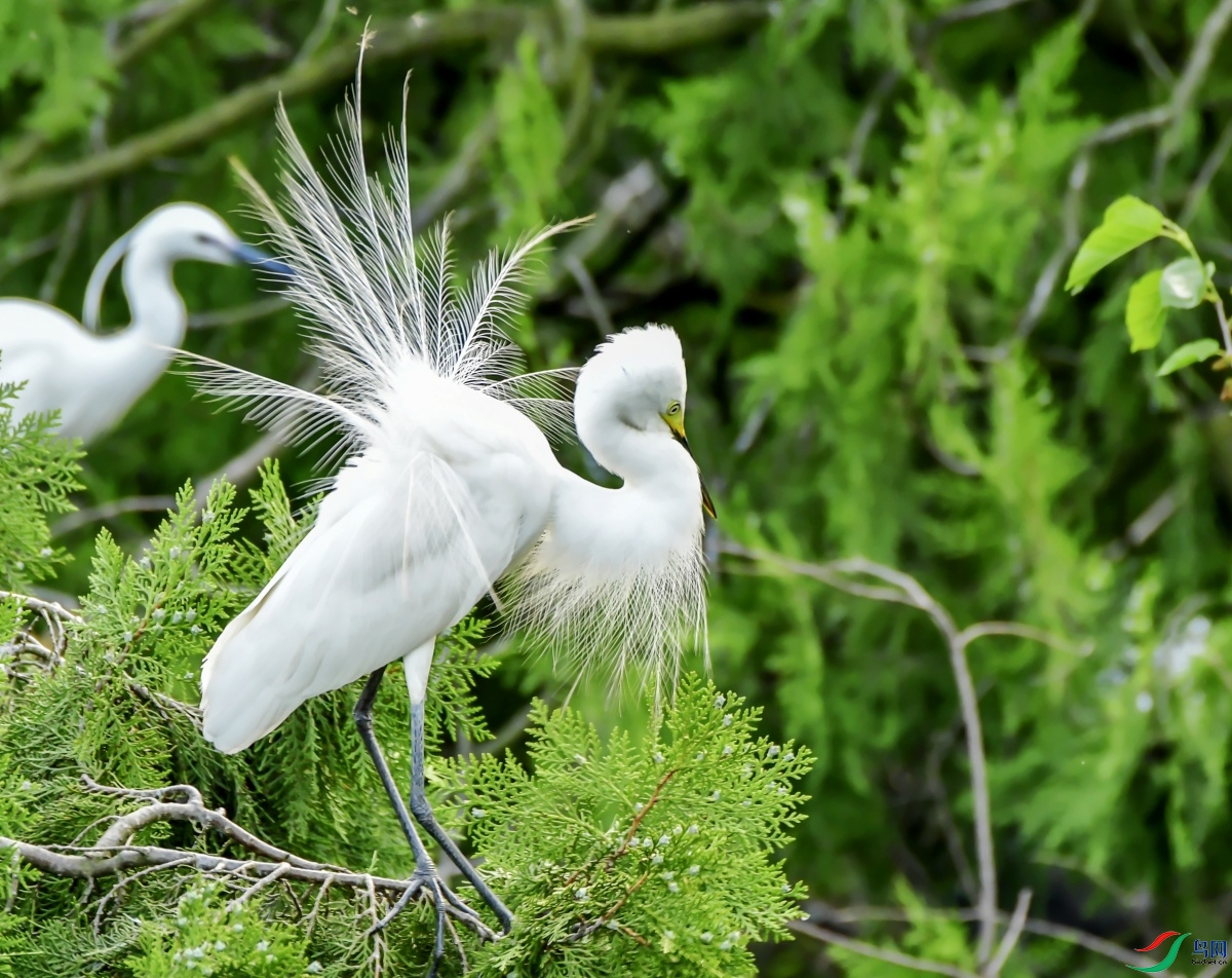 DSC_2647---_conew1.jpg