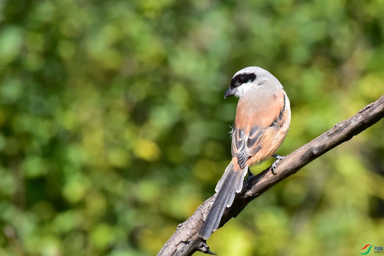DSC_1835.JPG