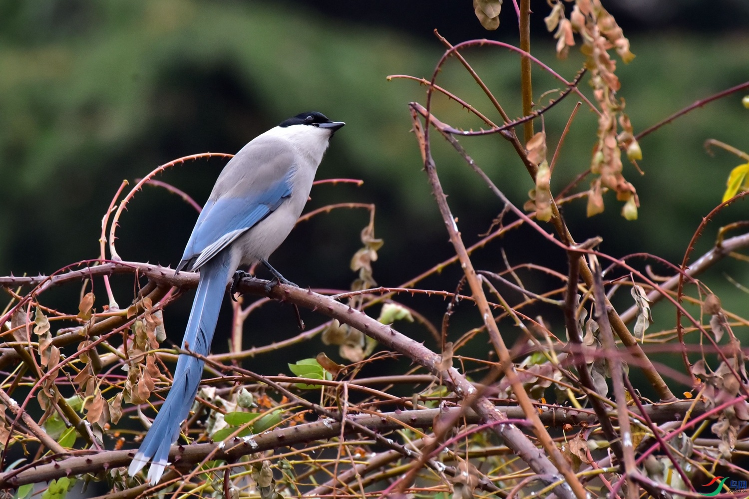 DSC_3291.JPG