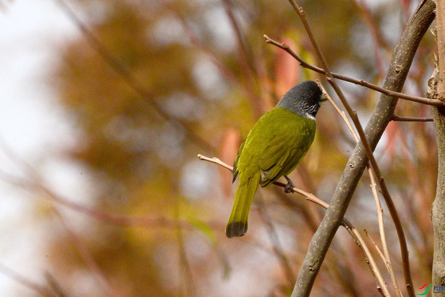 DSC_0186.JPG