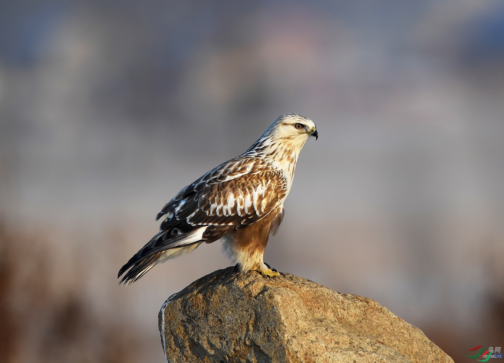 ����ϸ��  ��ʦ�����ڼ���ʡ������.jpg