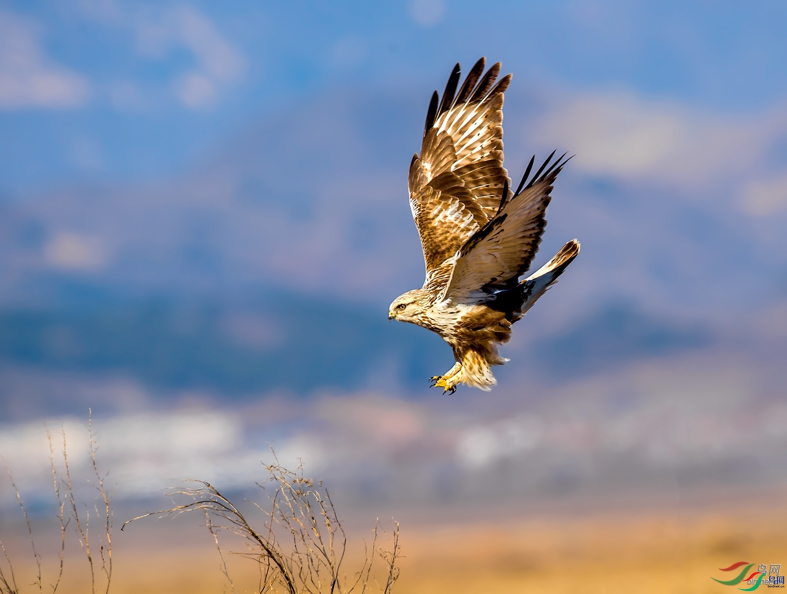 ����  ��ʦ����.jpg