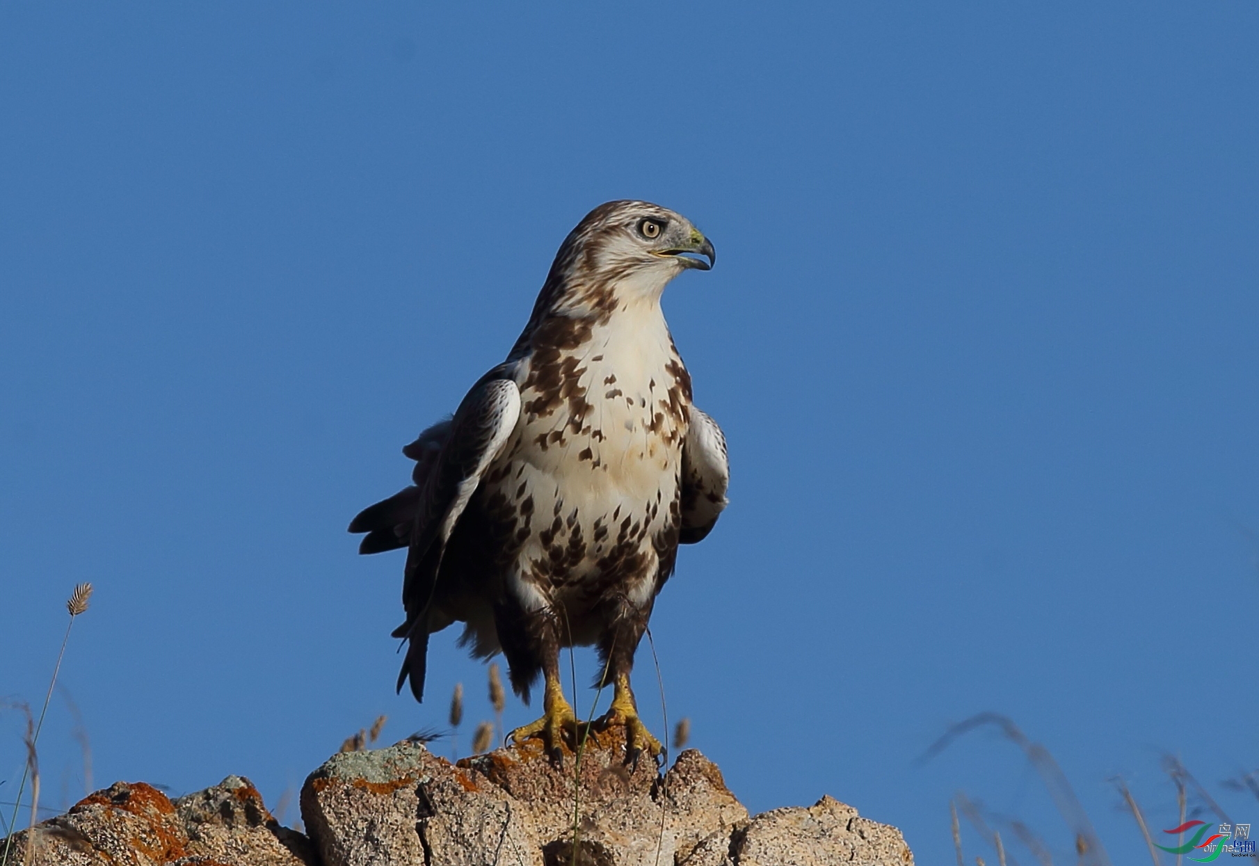 ����  ��ʦ����.jpg