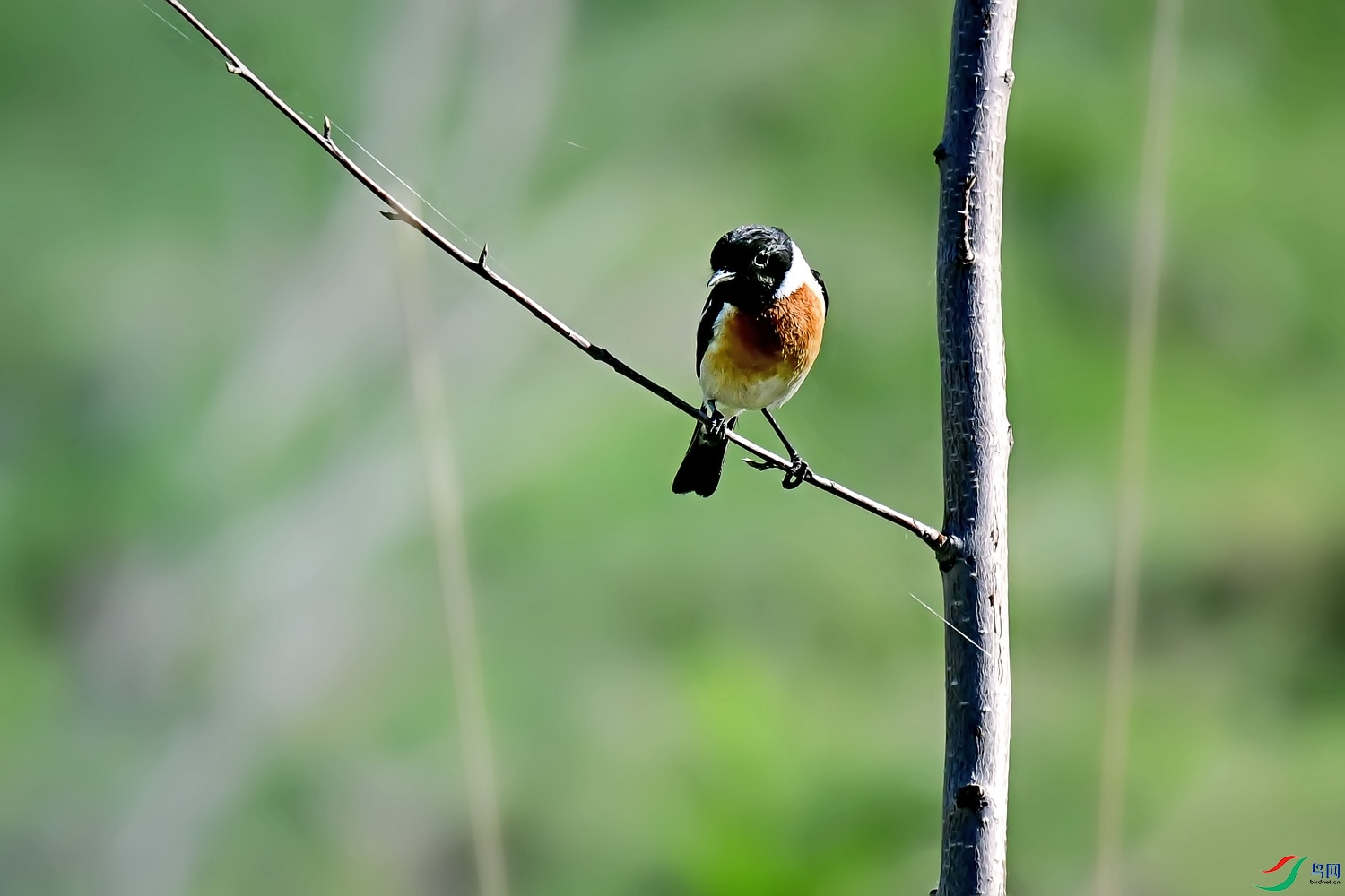DSC_4682.jpg
