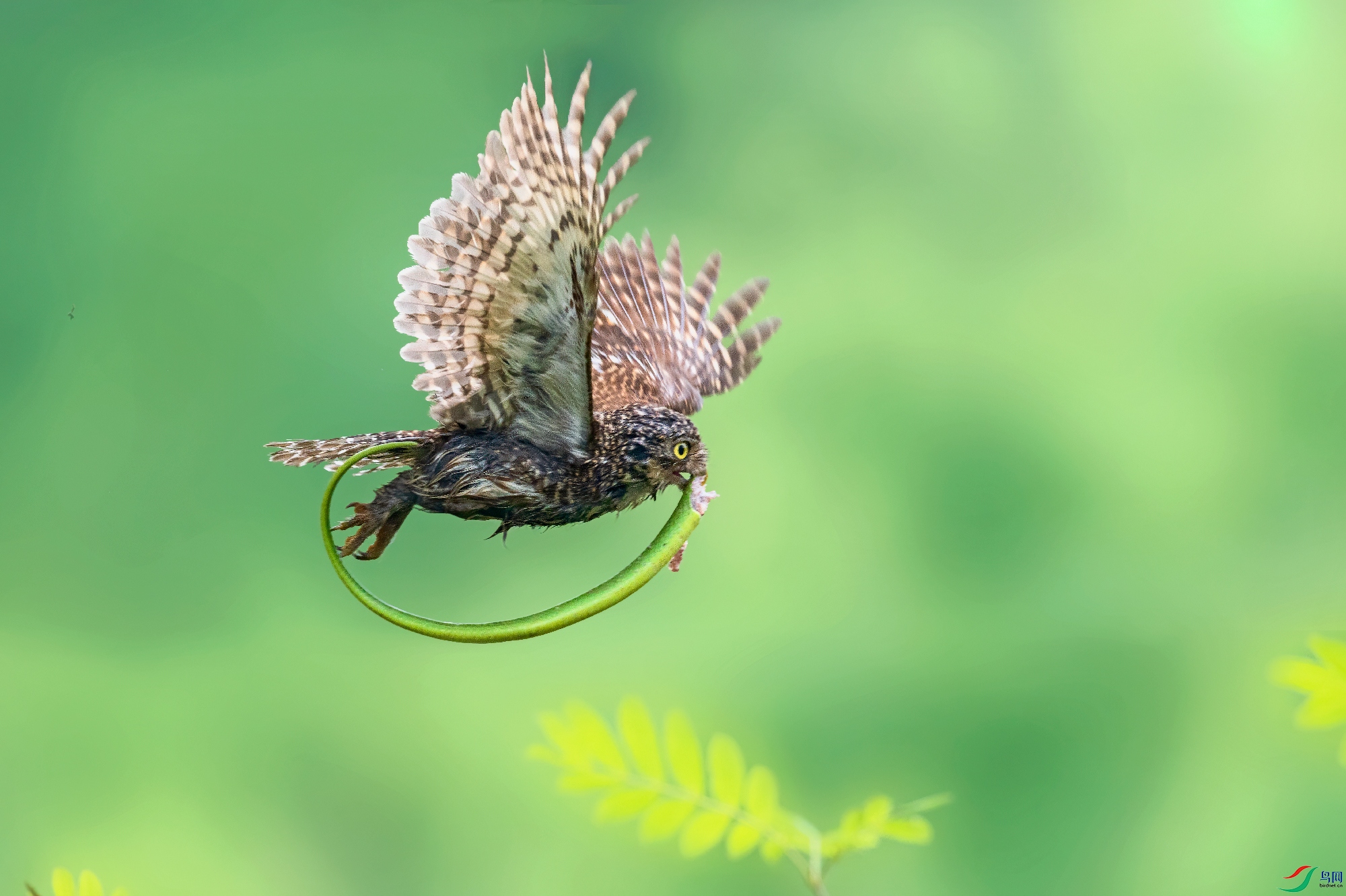 ����Ʒ�ѻ����ҳ����