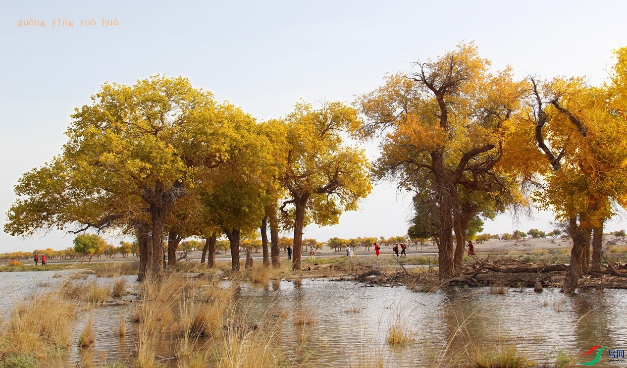 ������ 7_����.jpg