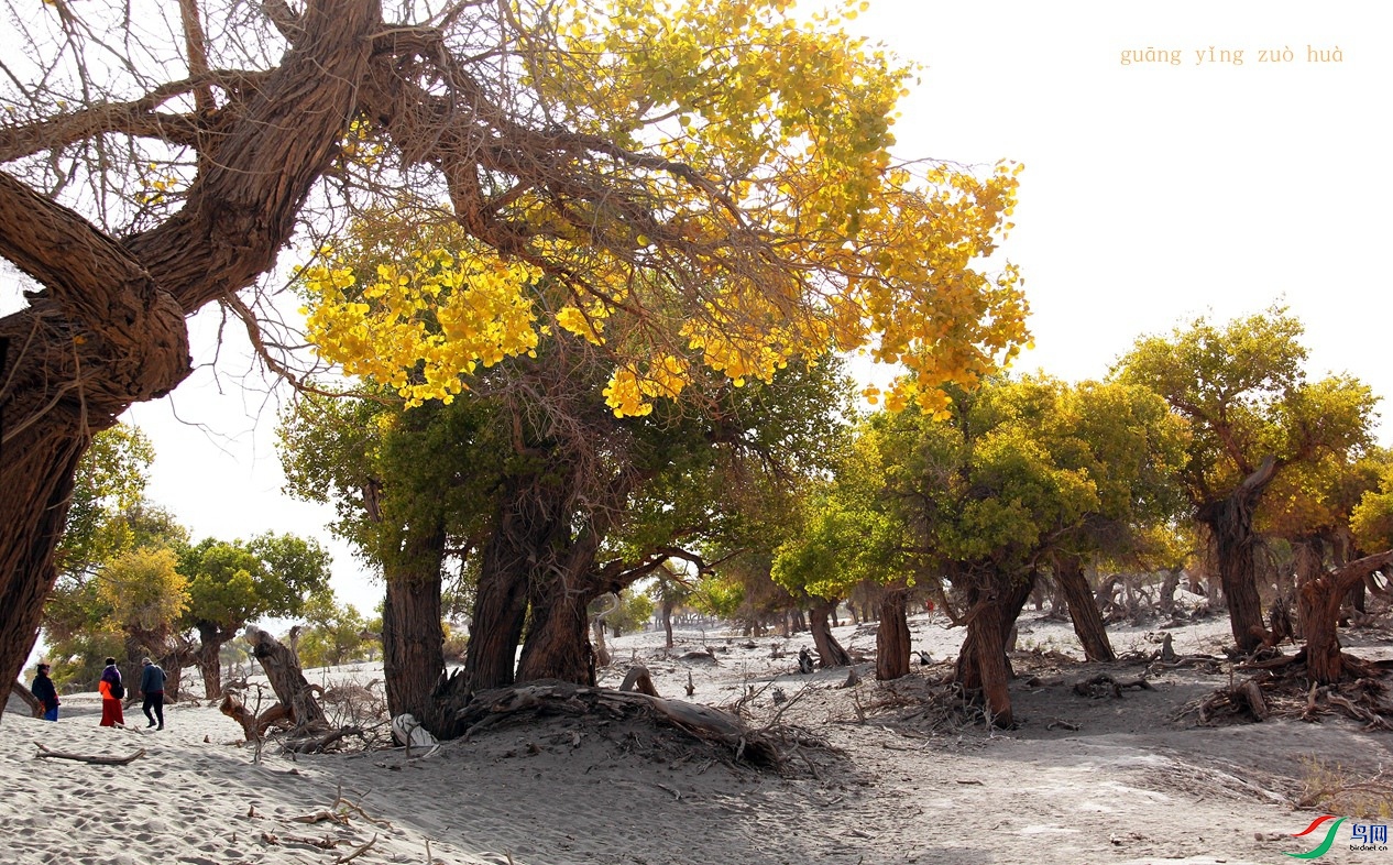 ������ 8_����.jpg