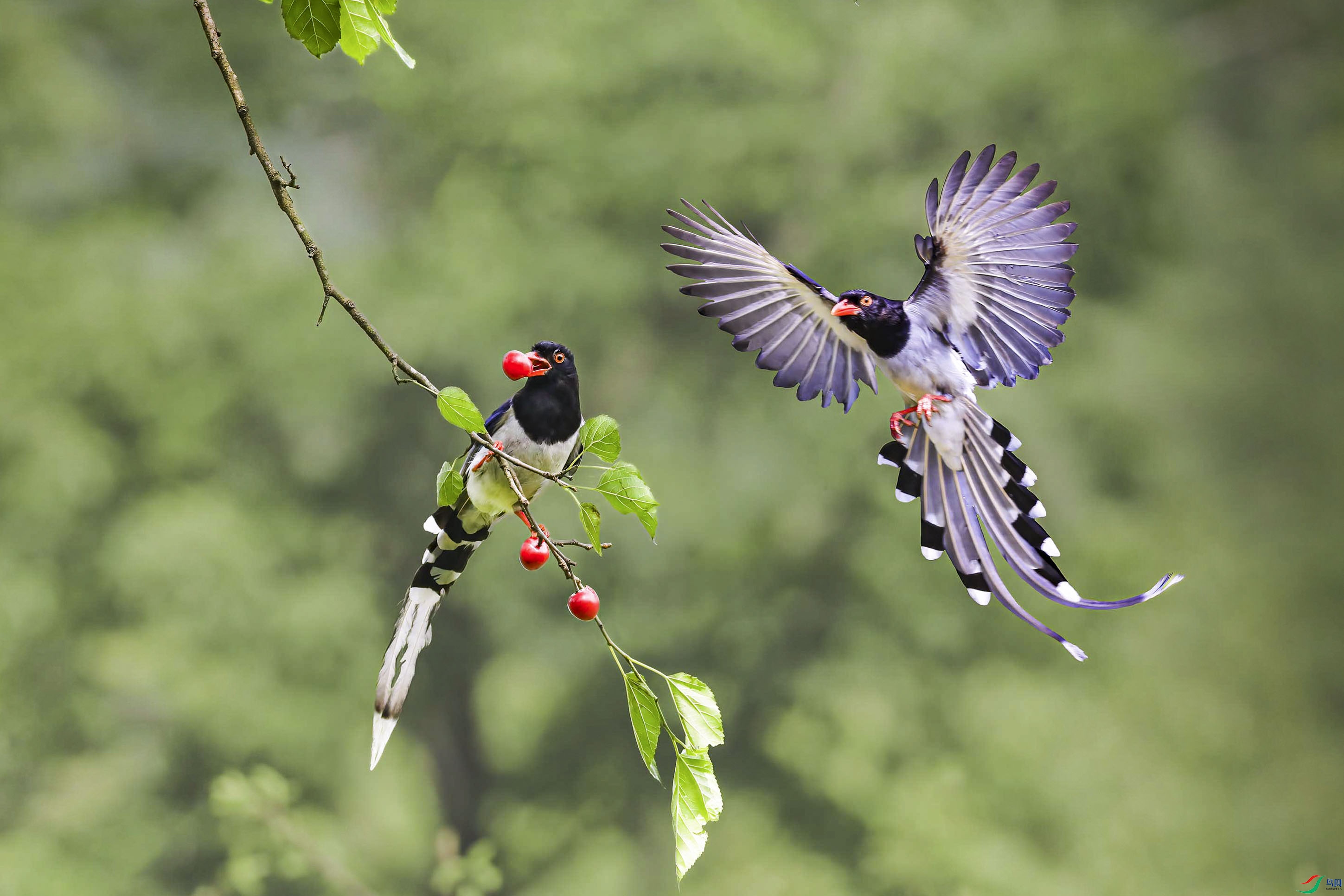 ������ȸ