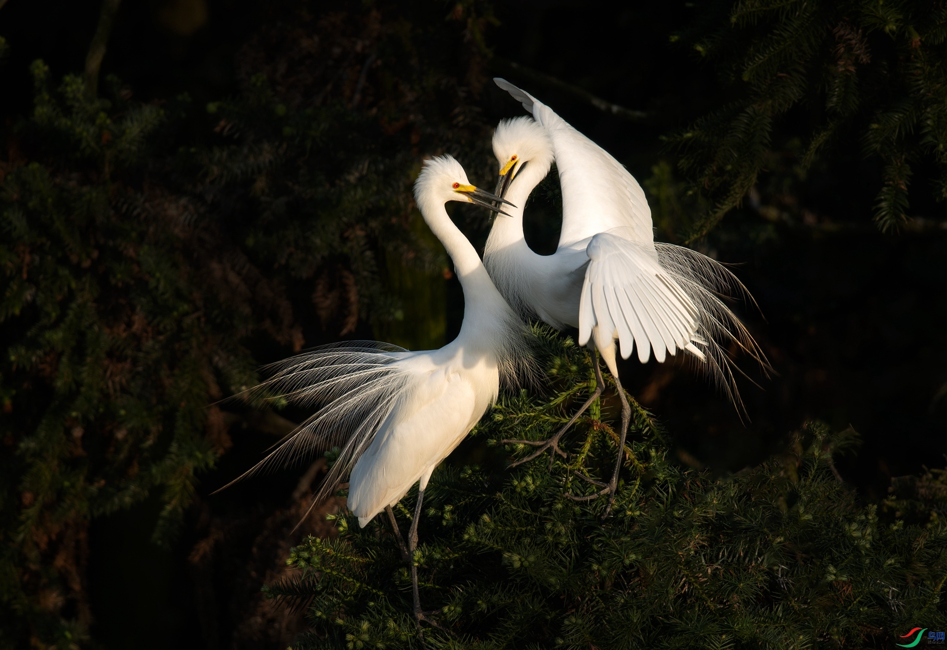 DSC_7183.jpg