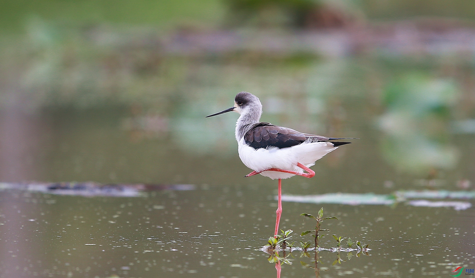 AY8Q0055_����.jpg