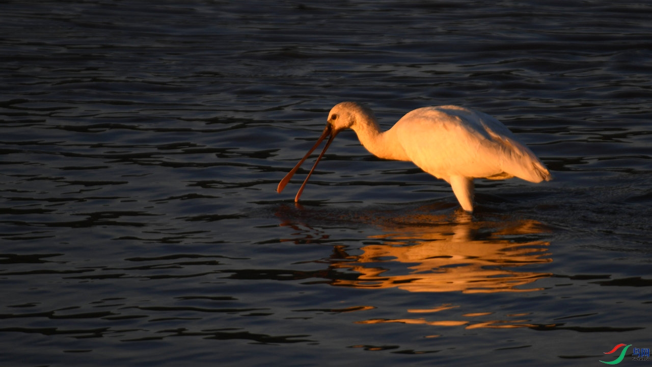 DSC_5705.jpg