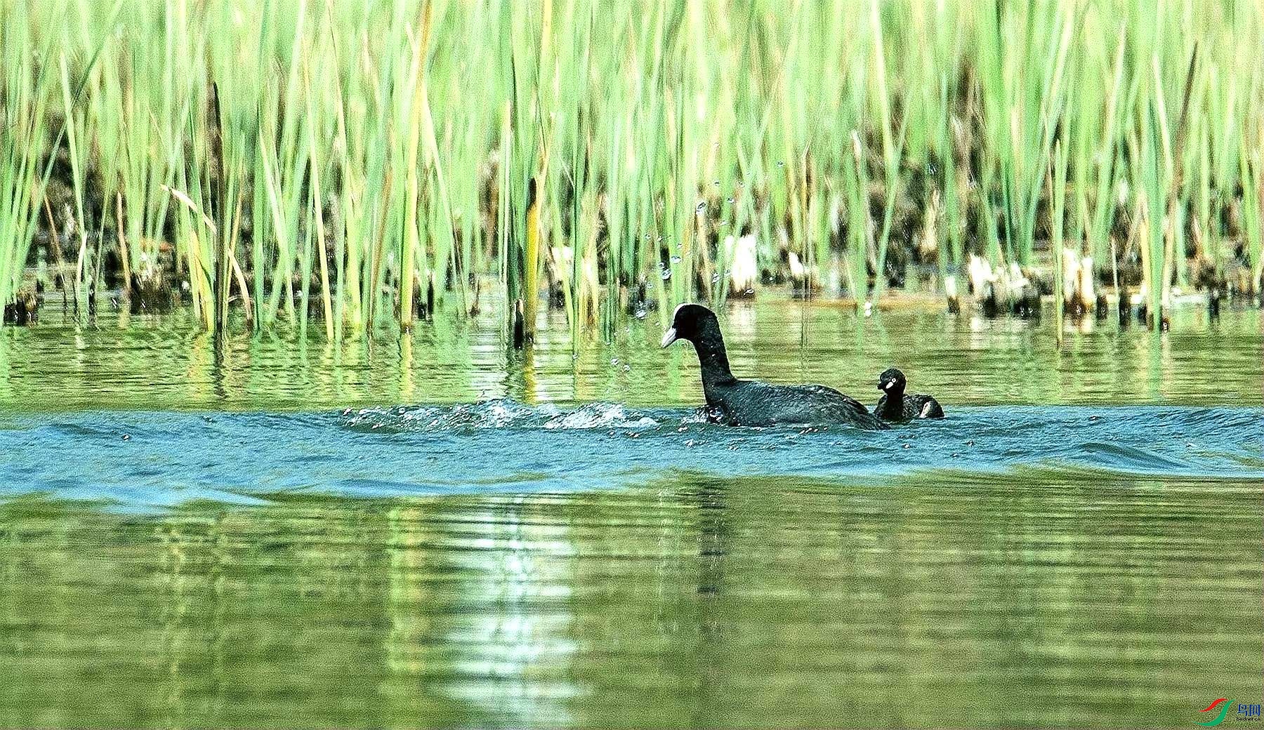 ������� (5).jpg