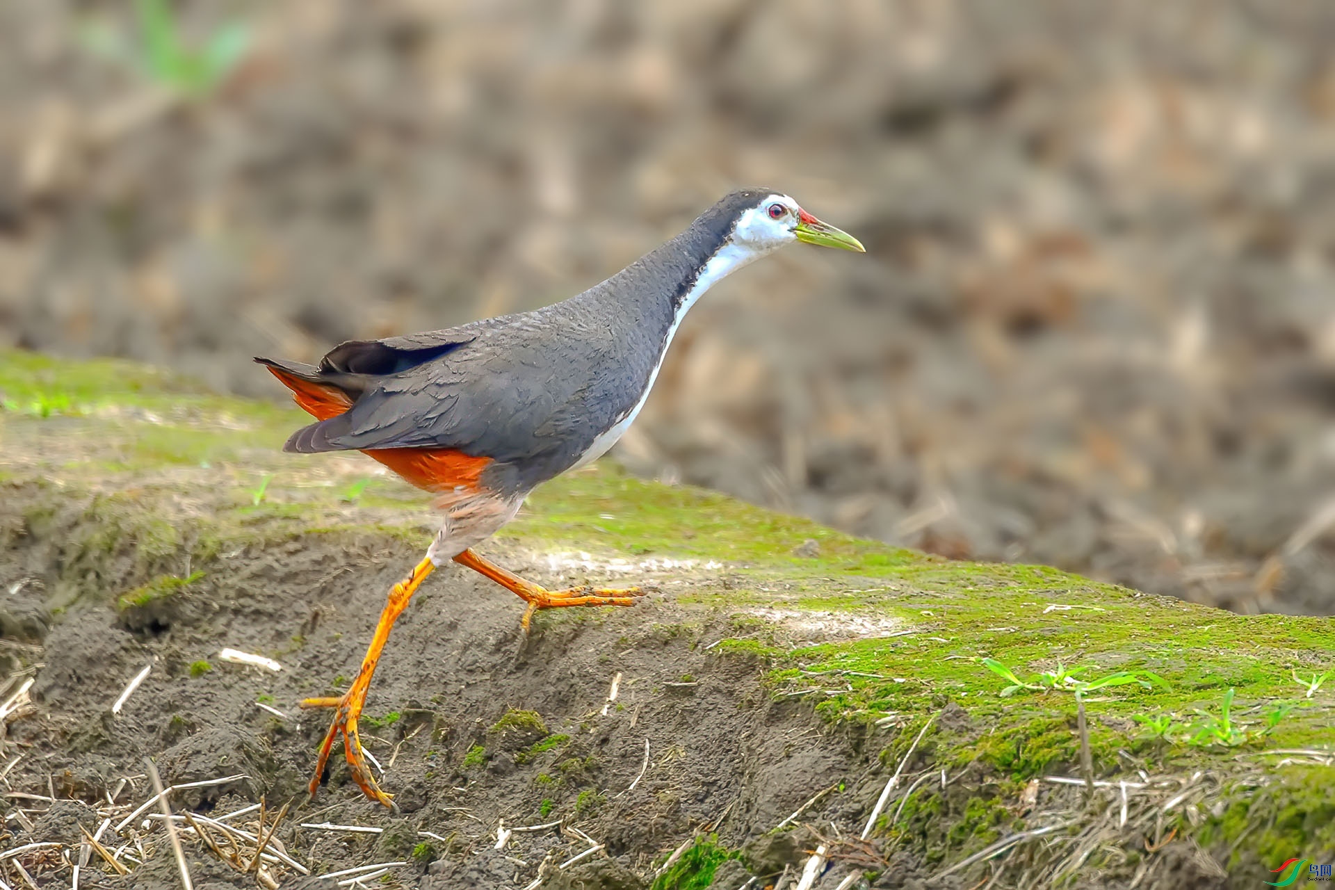 DSC_6139.jpg
