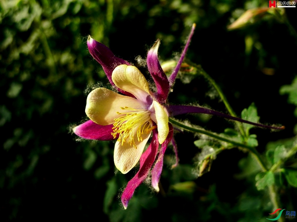 p5240125.jpg