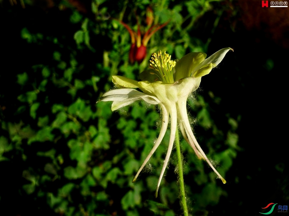 p5240111.jpg