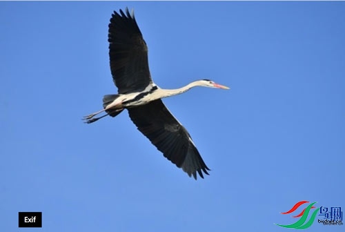 ��Ļ����-2022-05-09-22.54.23�ĸ��� 5.jpg