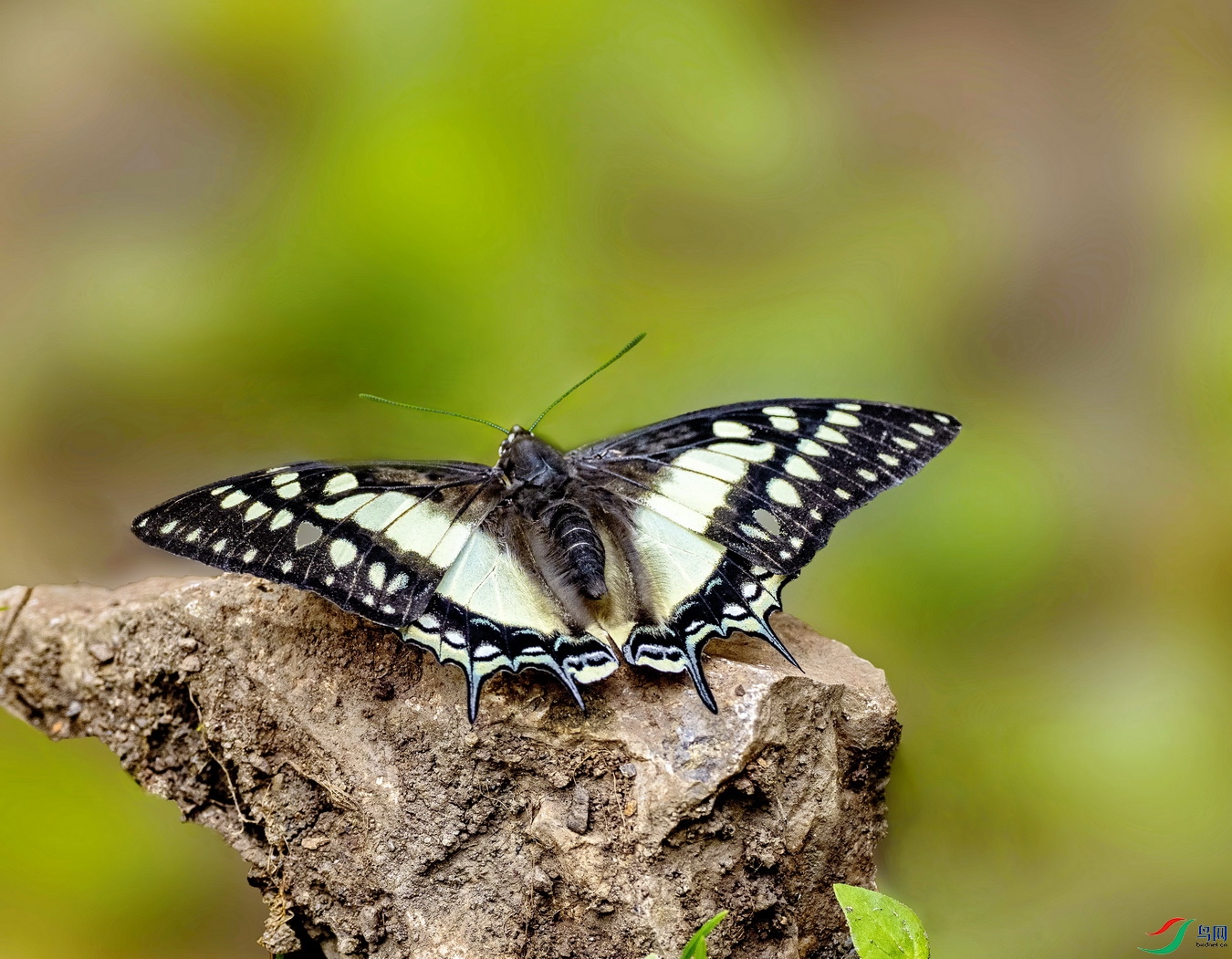 ���β�̵� (3)-1.jpg