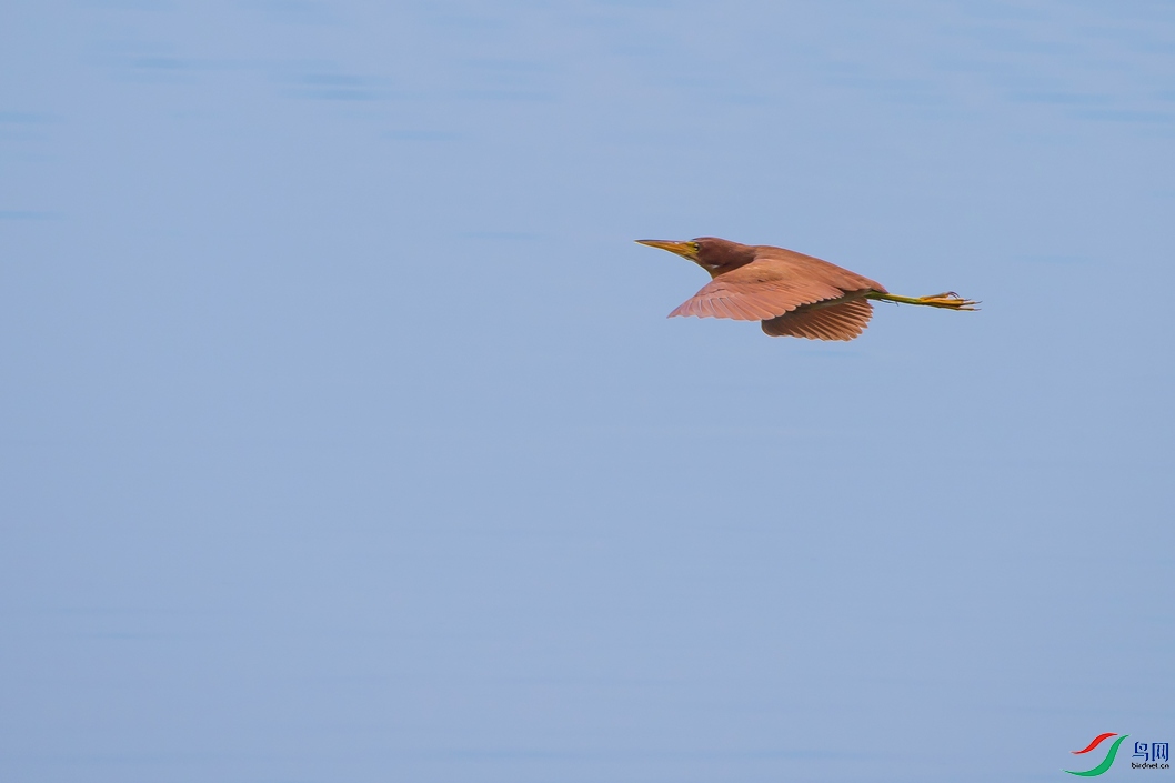 DSC_5707a.jpg
