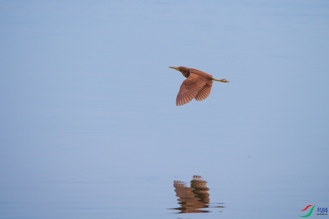 DSC_5710a.jpg